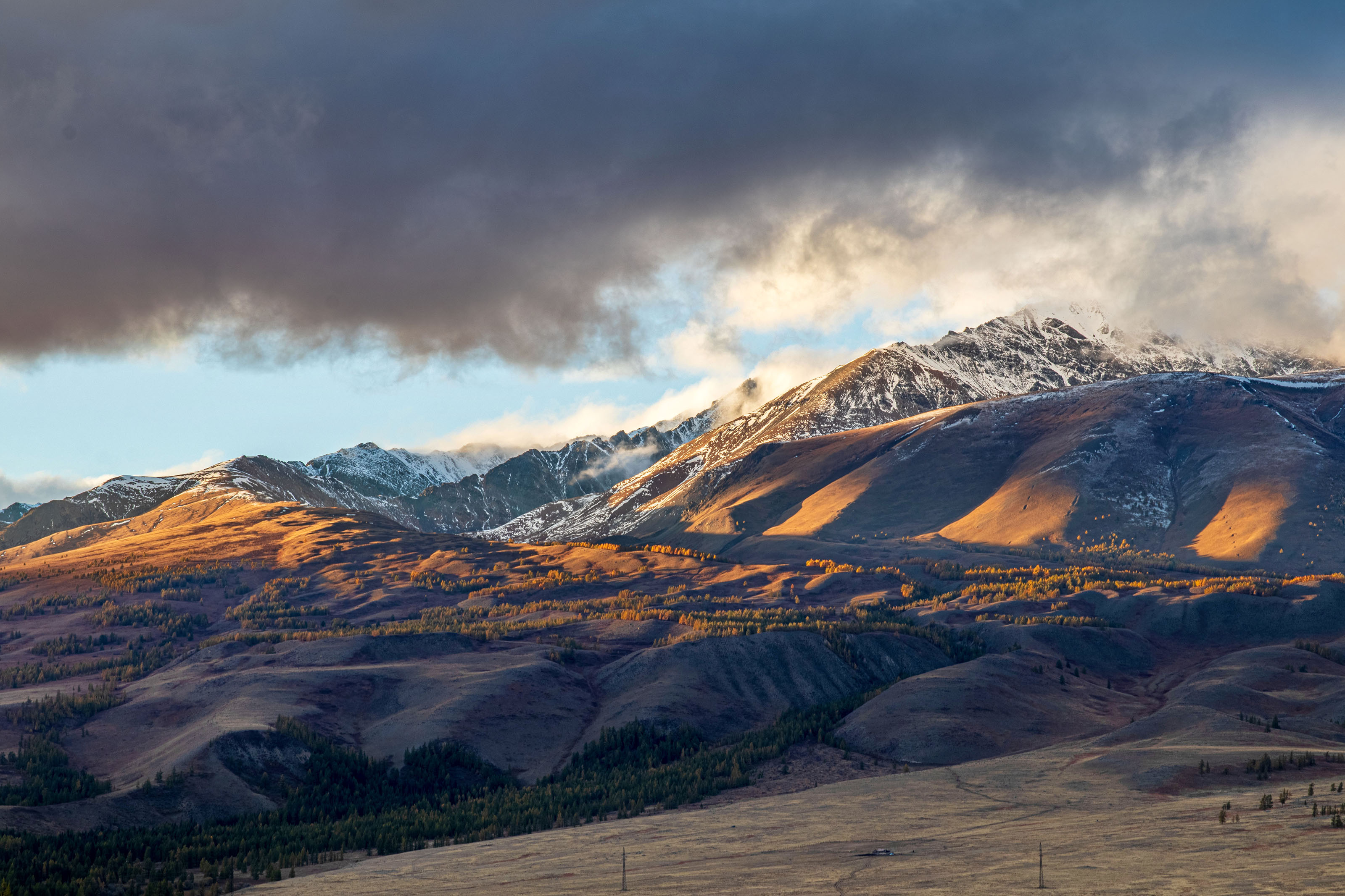 , Добролюбова Тамара