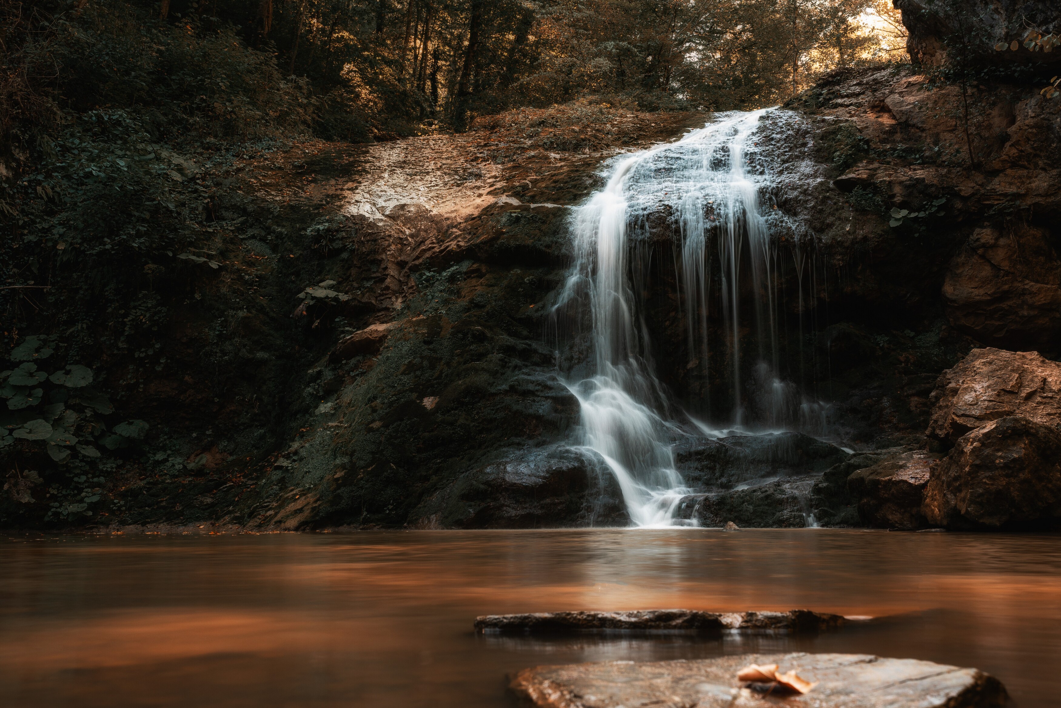, Дмитрий Величко