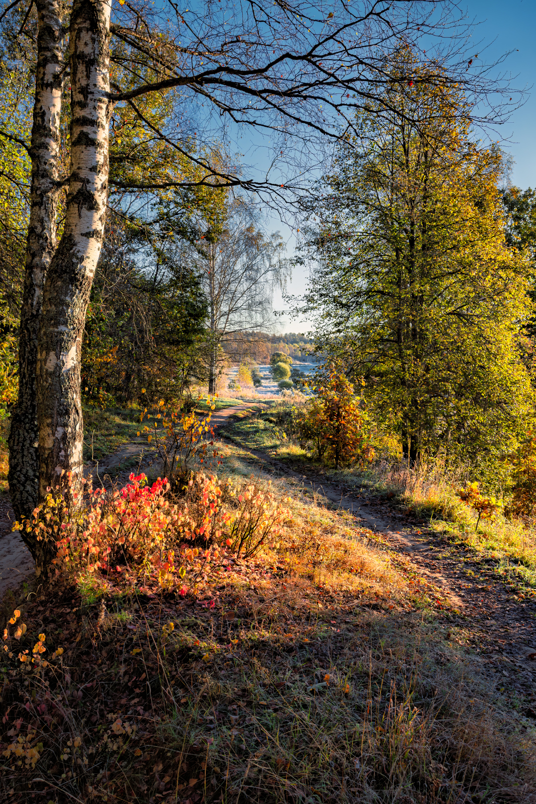 , Евгений Ерохин