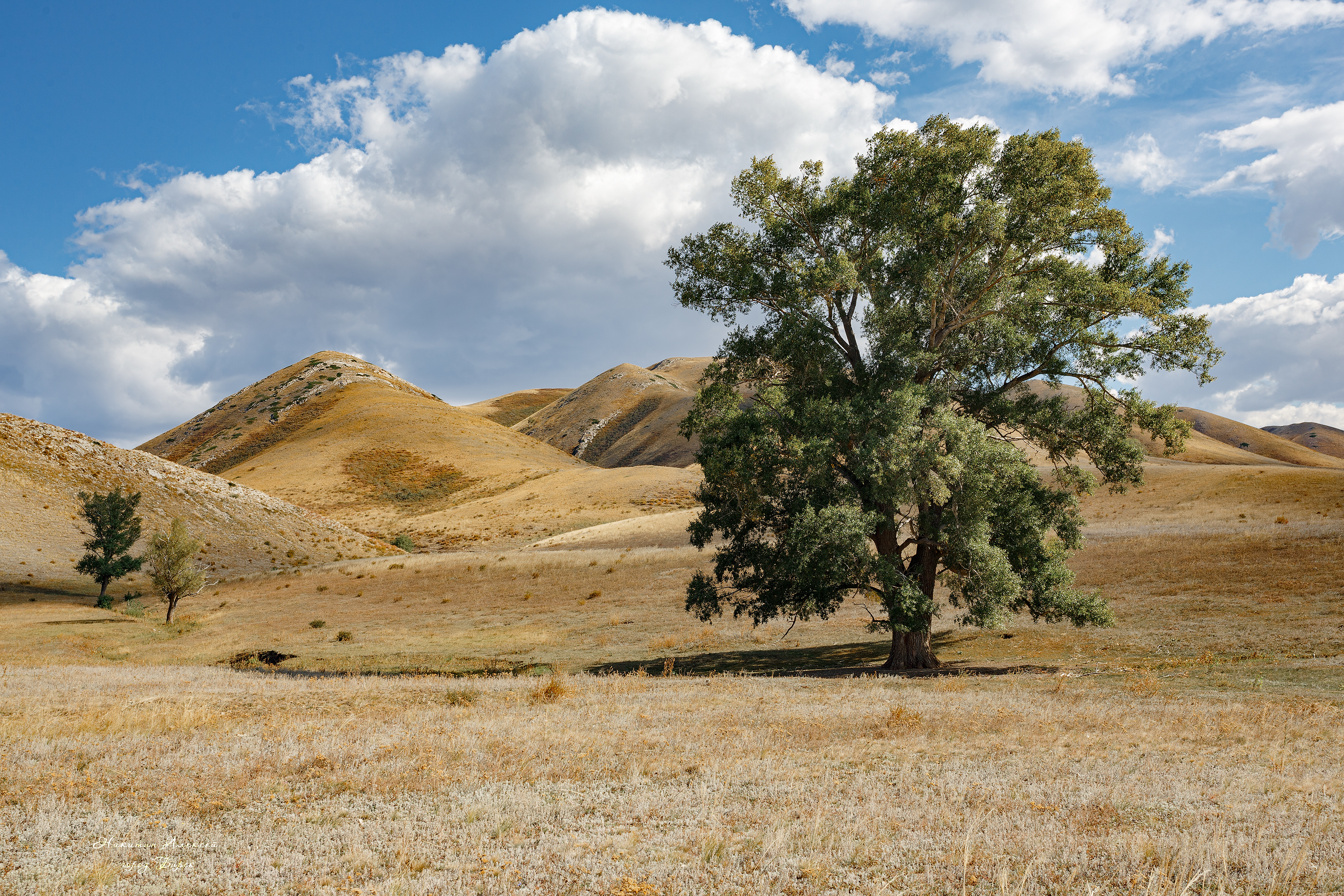 , Никитин Алексей