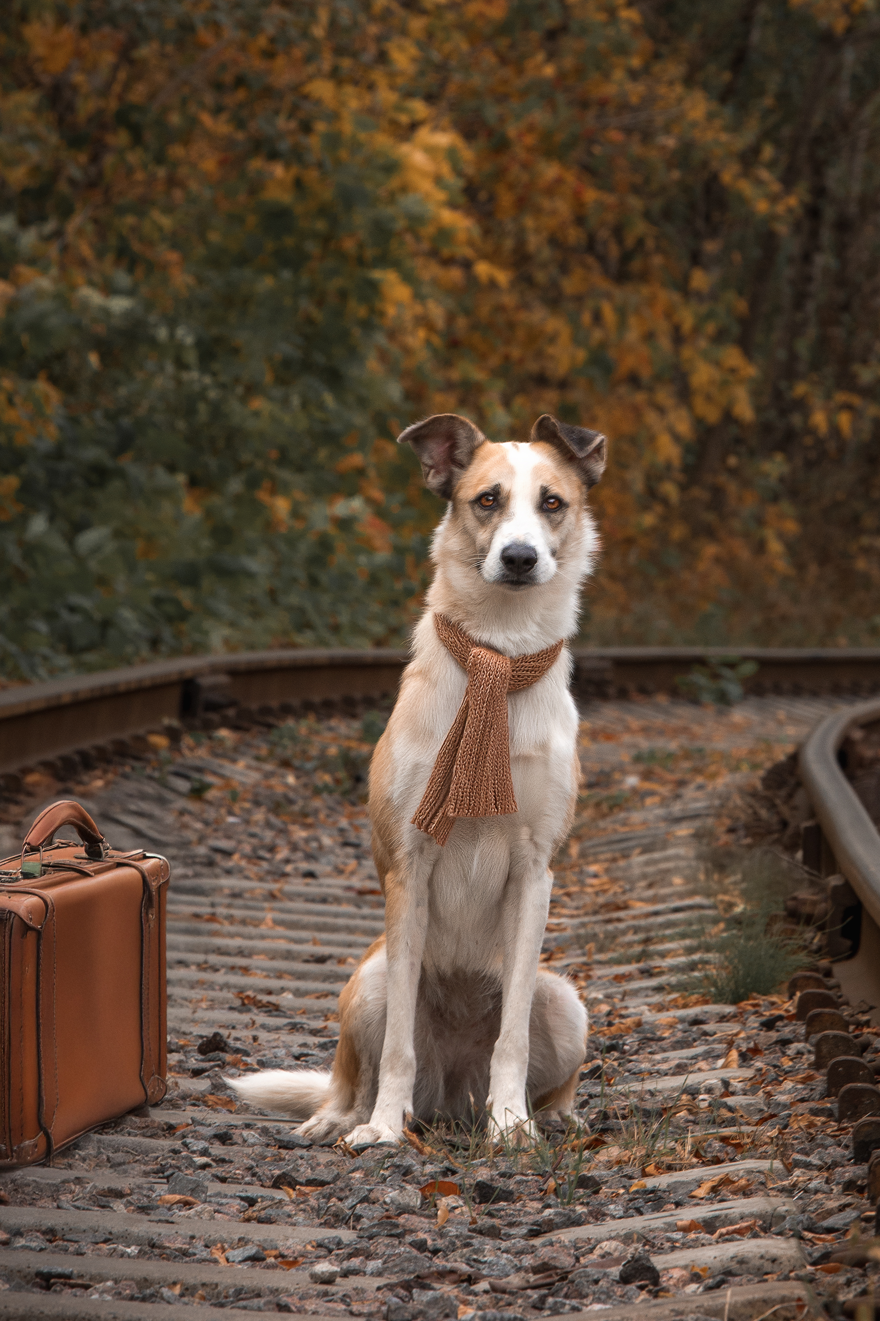 , Елена Самусенкова