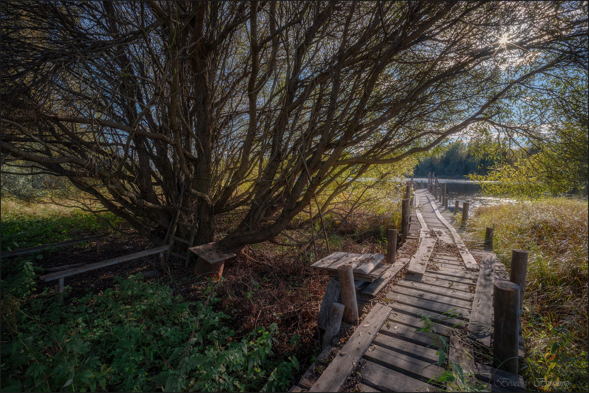 , Болеско Виктор