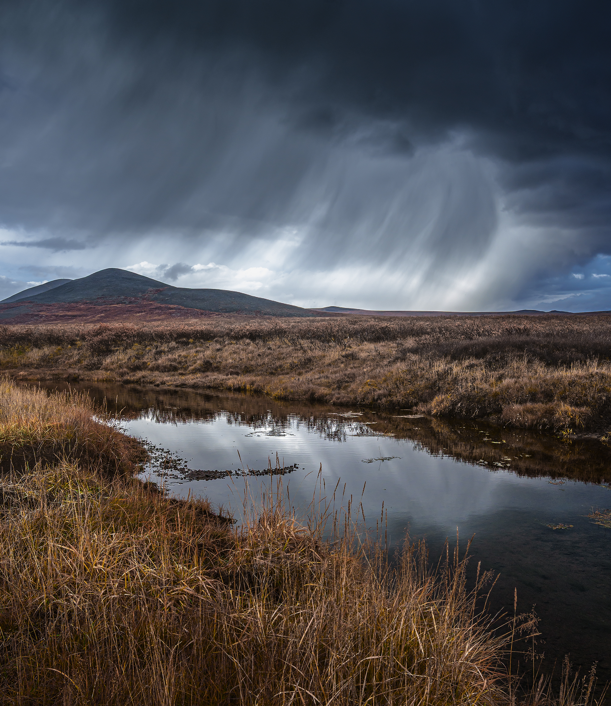 , Андреев Николай
