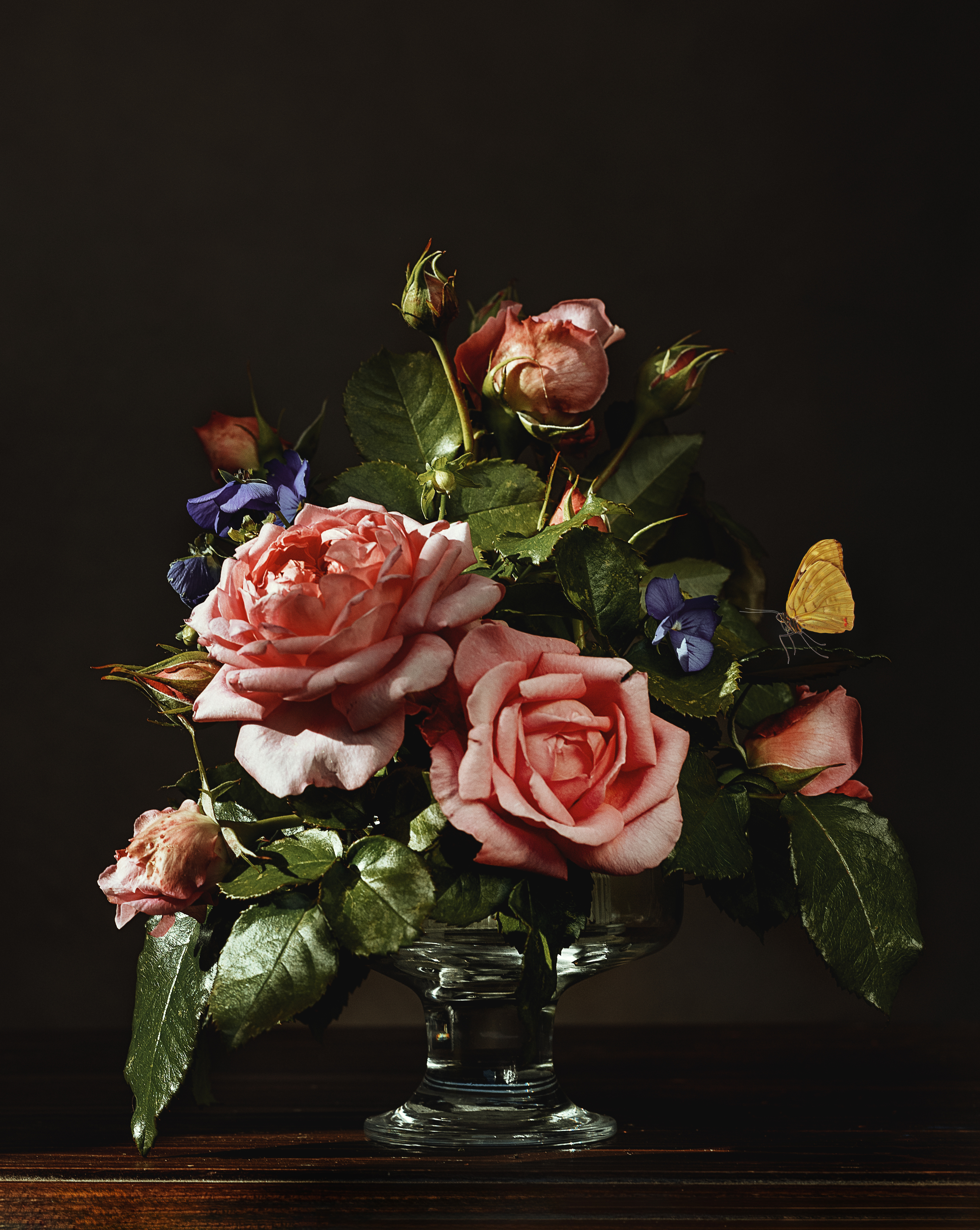 , Александрова