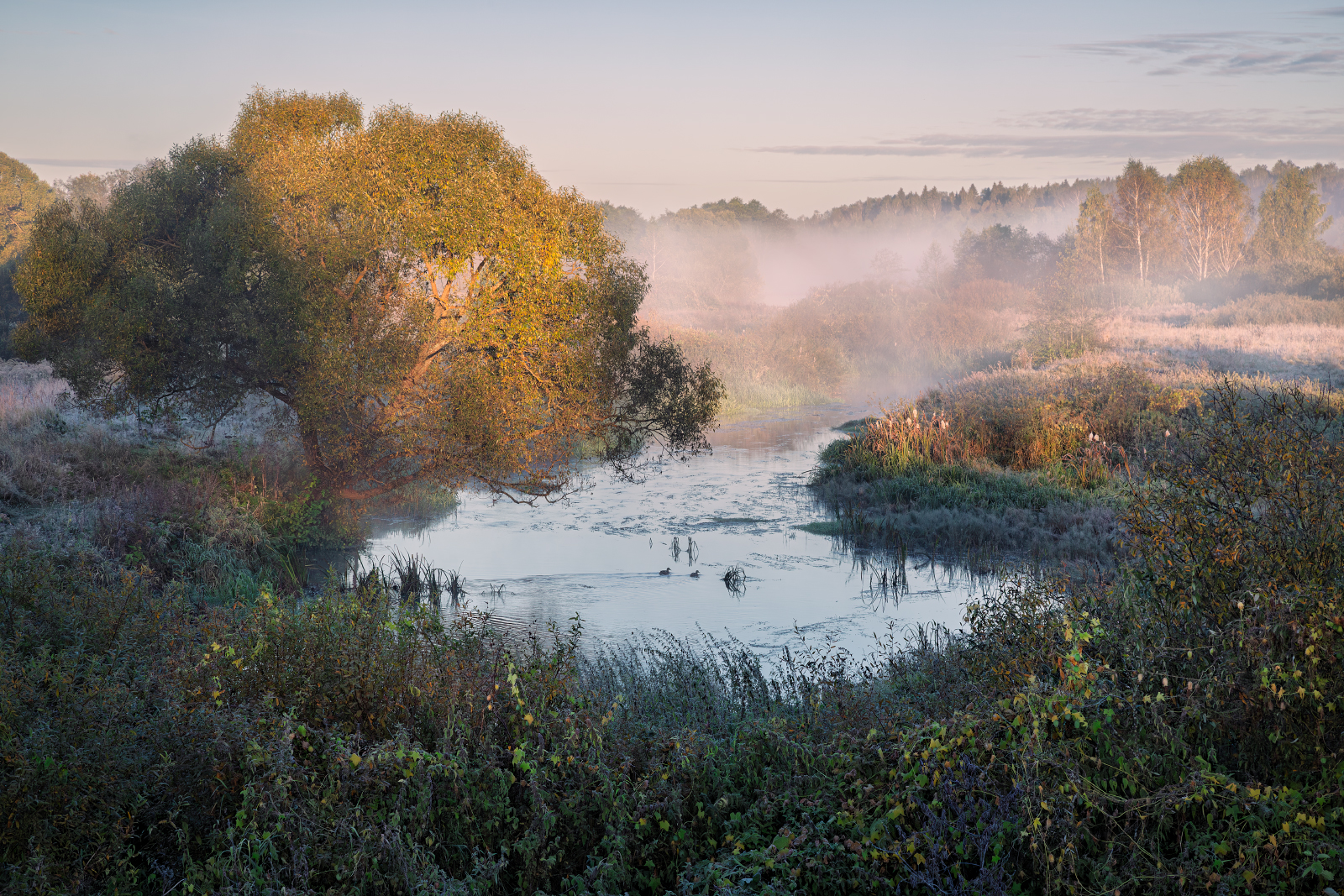, Евгений Ерохин