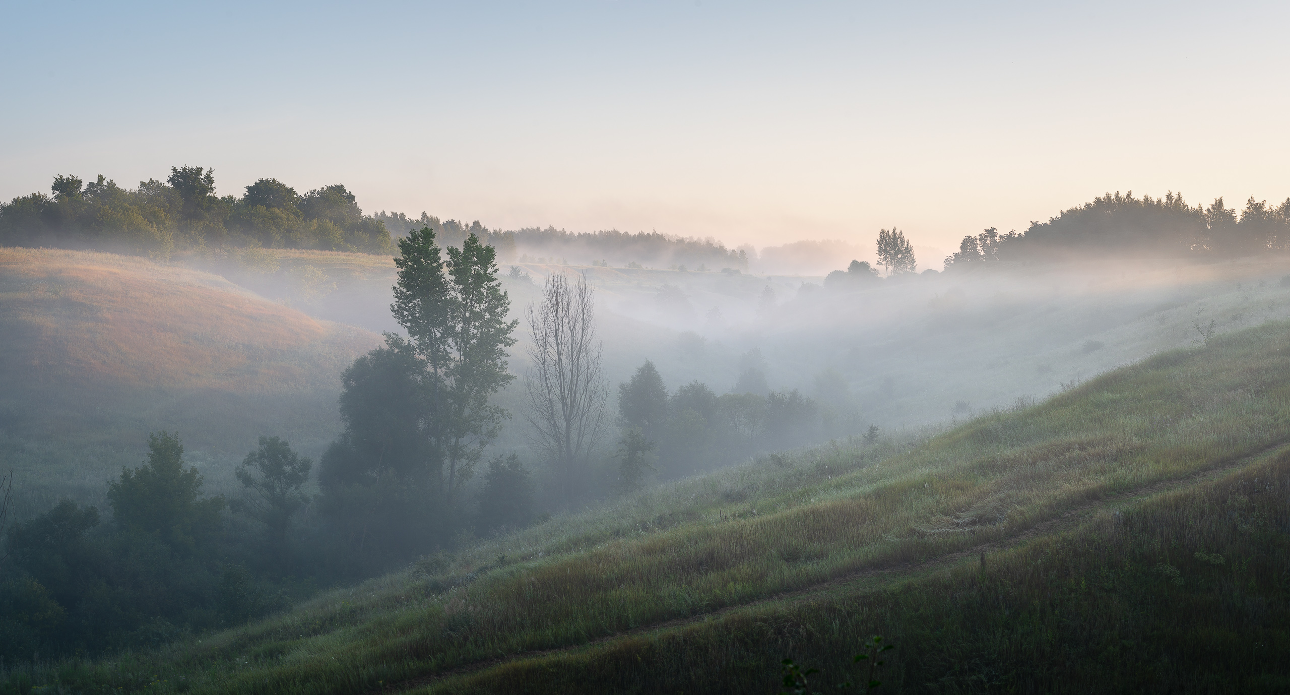 , Роман Игнатьев