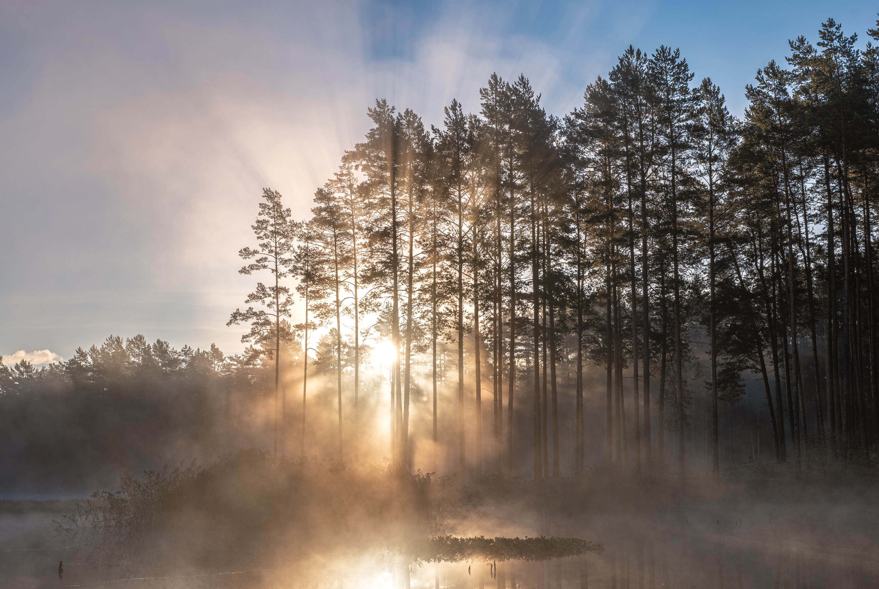 , Гордон Николай