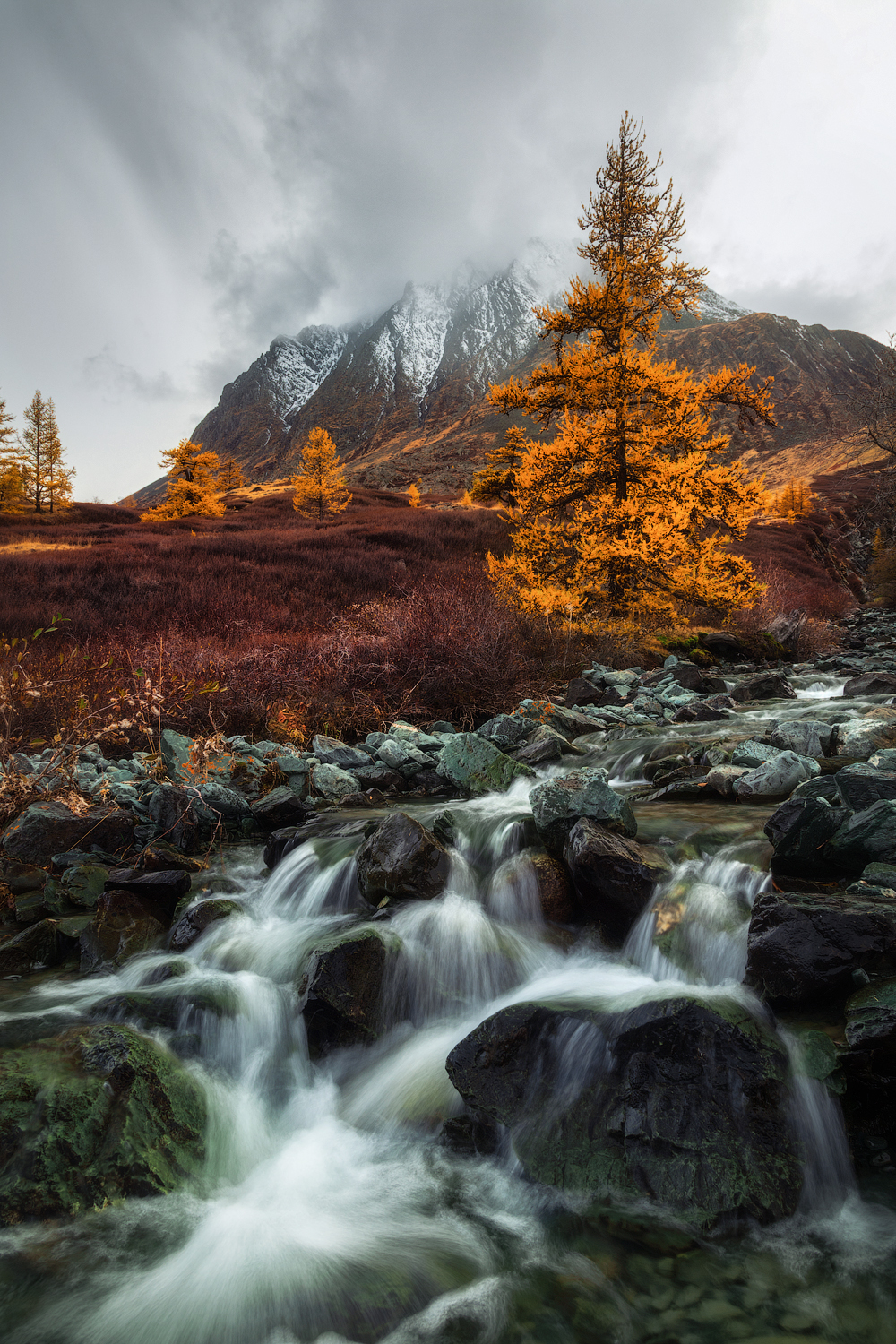 алтай, горный алтай, пейзажи алтая, кош-агачский район, горная река, золотая осень, горы, осенний алтай, Рубан Елена