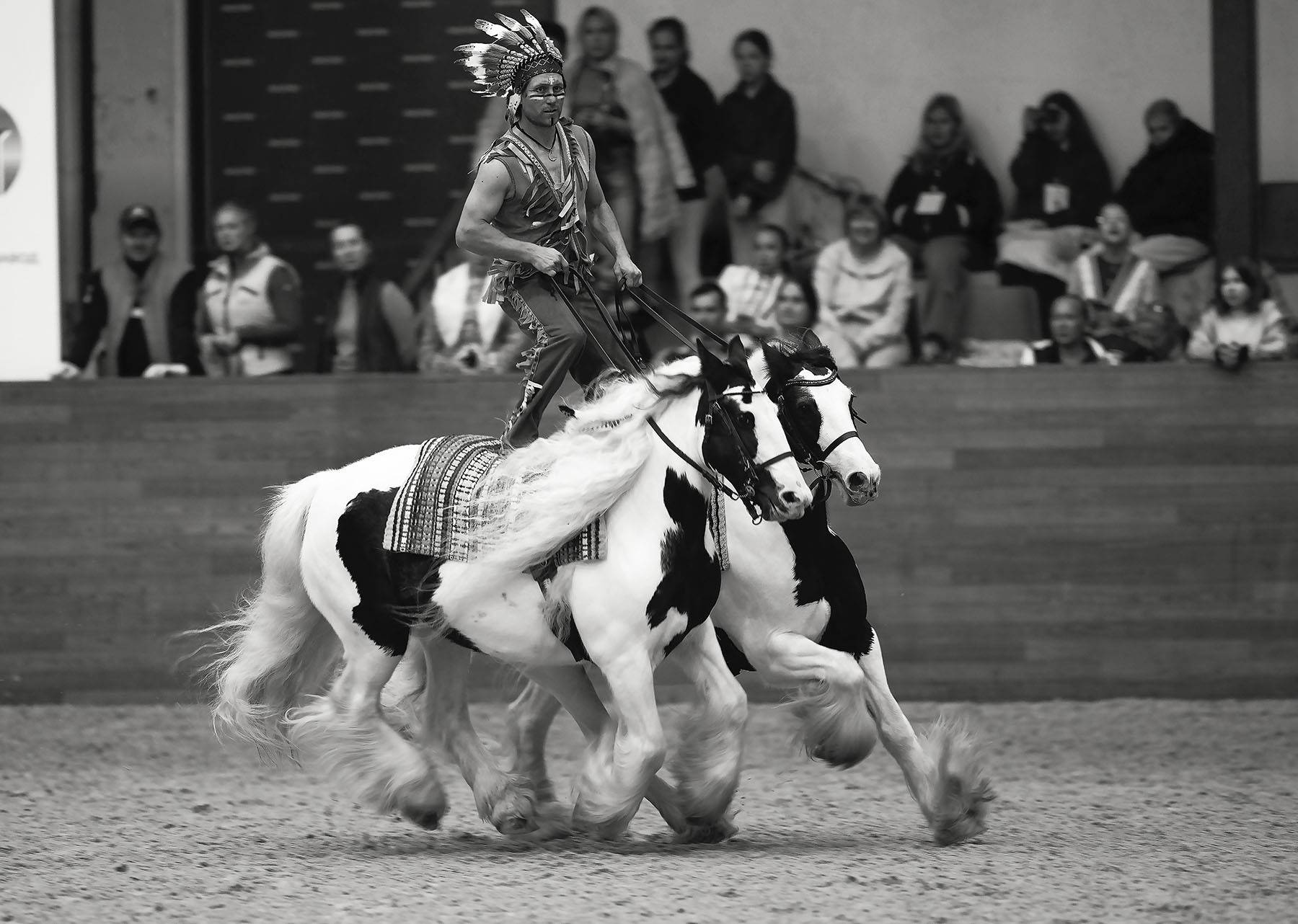 выступление, лошади, спорт, rider, horses, movement, performance, Юлия Стукалова