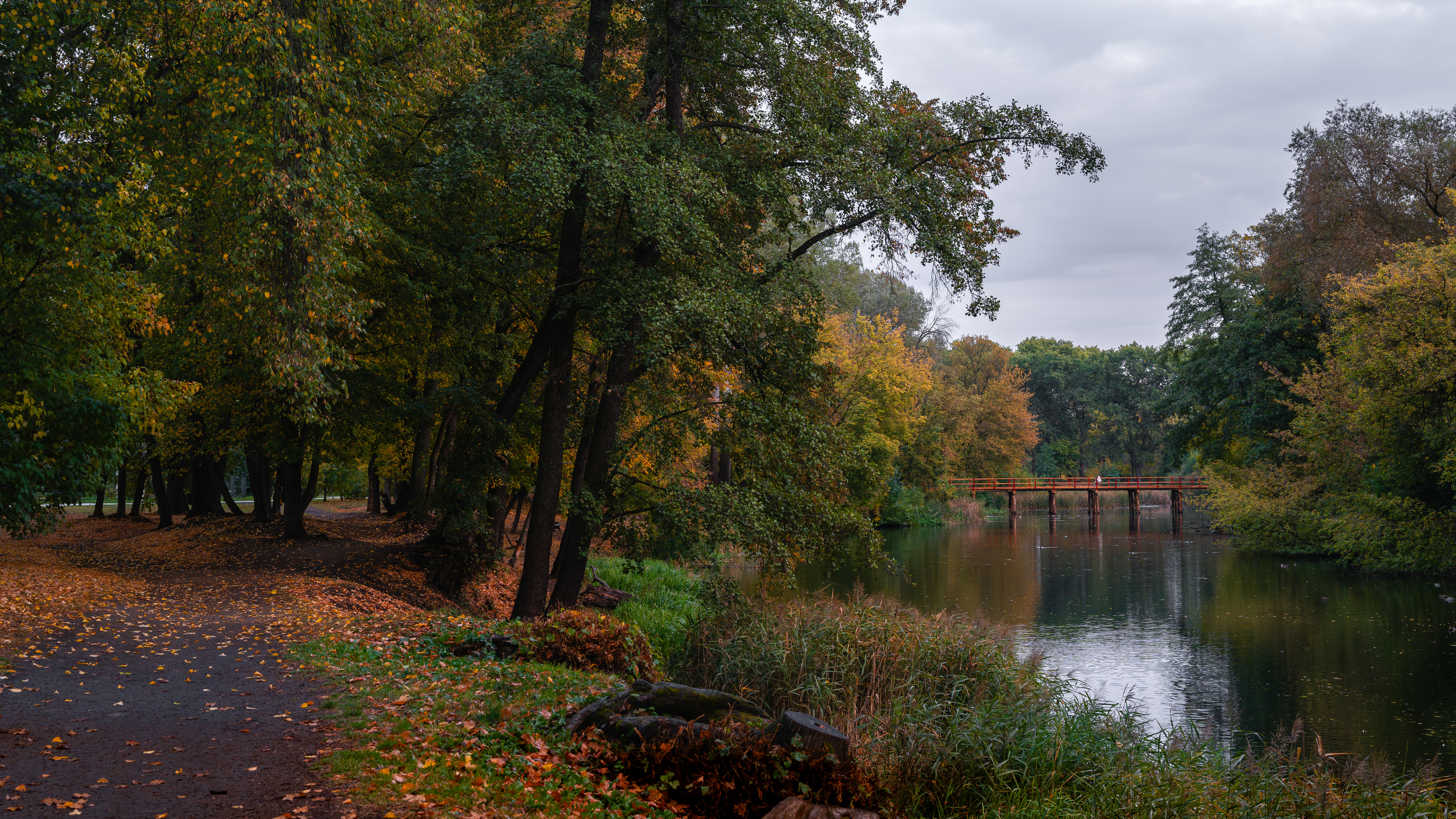 , Вертиков Юрий