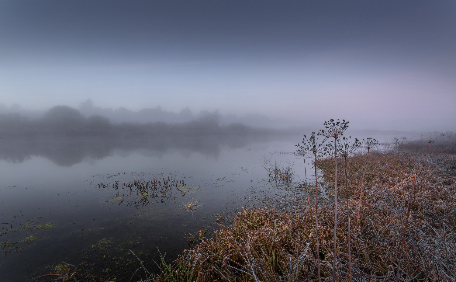 утро осень туман заморозки, Михаил Корнилов