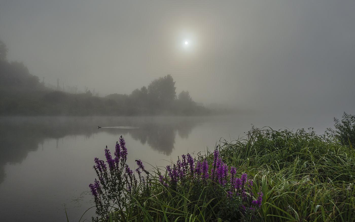 утро, лето, туман, архангельское, Михаил Агеев