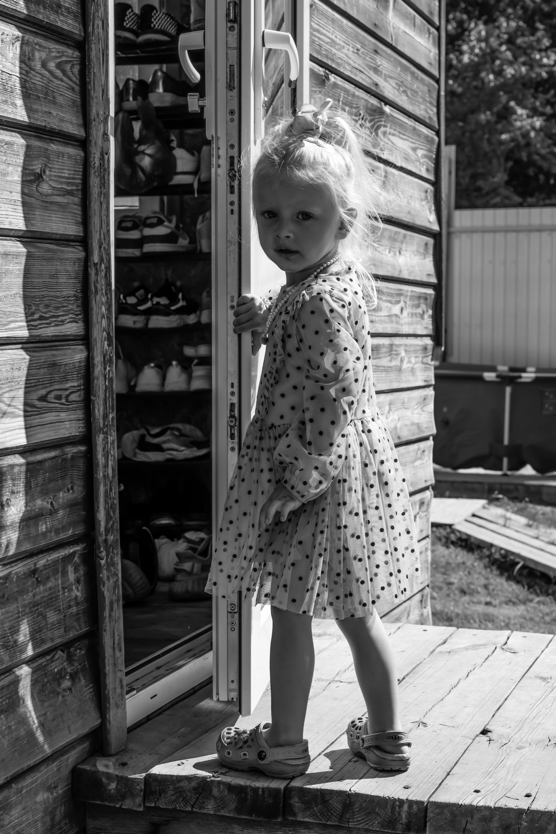 , Александр Шилов