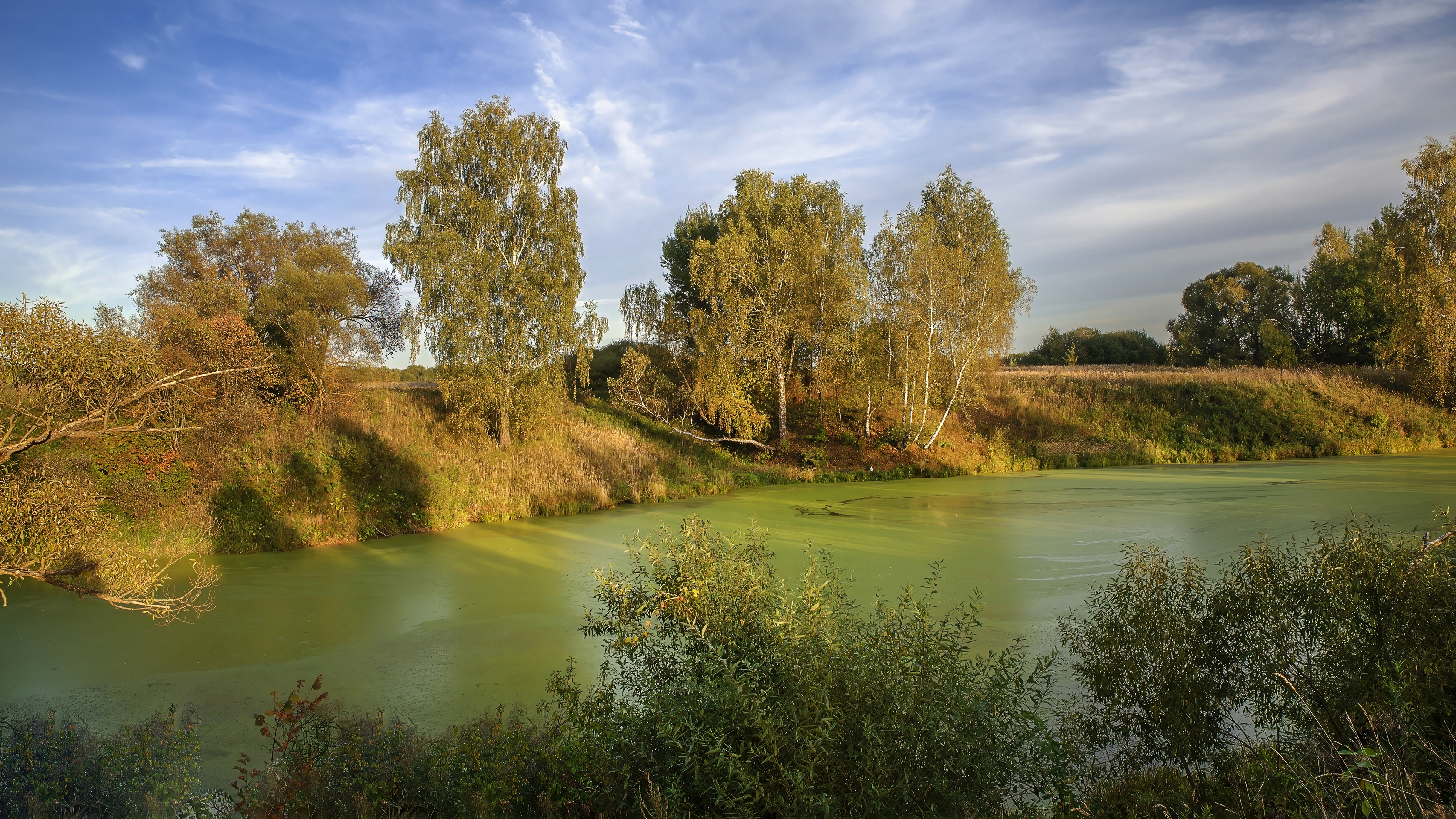 , Людмила Железнова