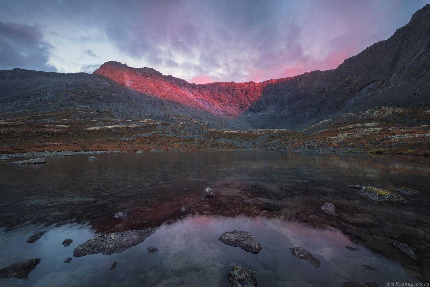 , Арсений Кашкаров