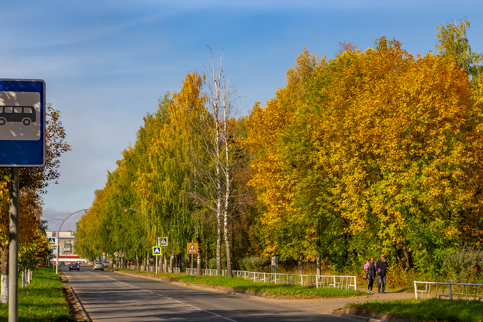 коряжма., Анкудинов Леонид