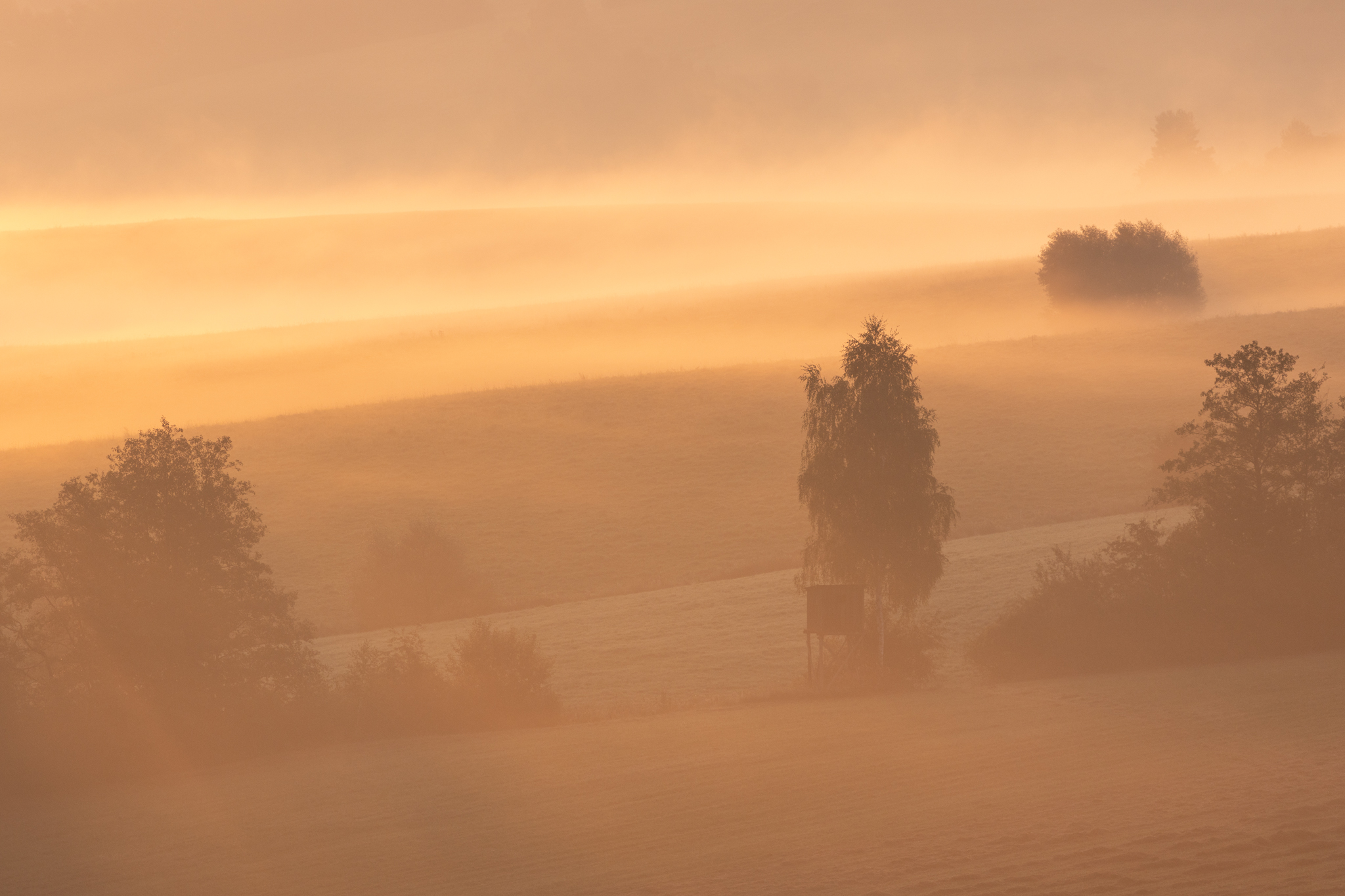 ,  Mirosław Pruchnicki