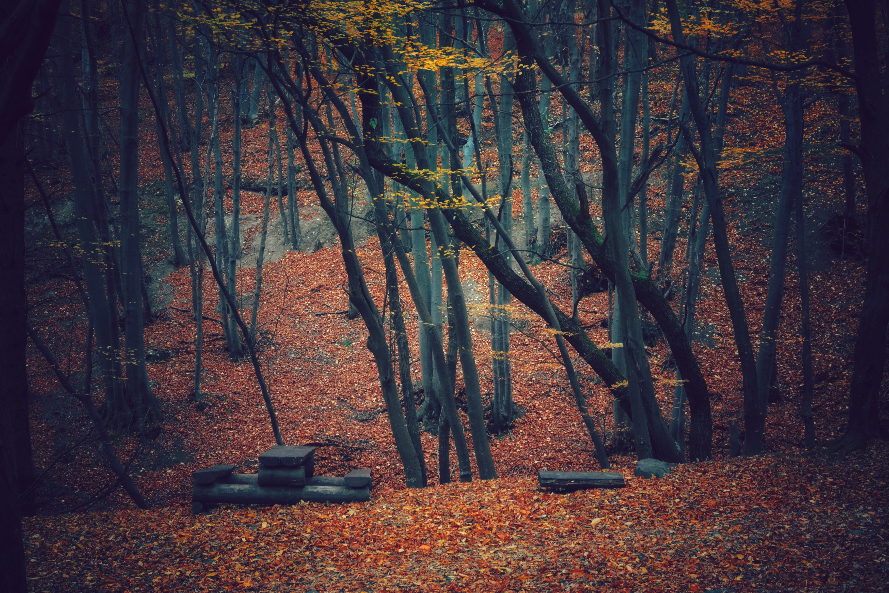 , Юлияна Стоянова