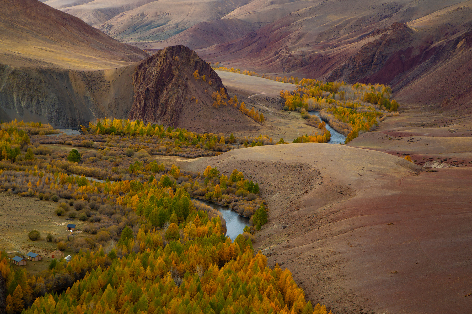 , Евгений Зинов