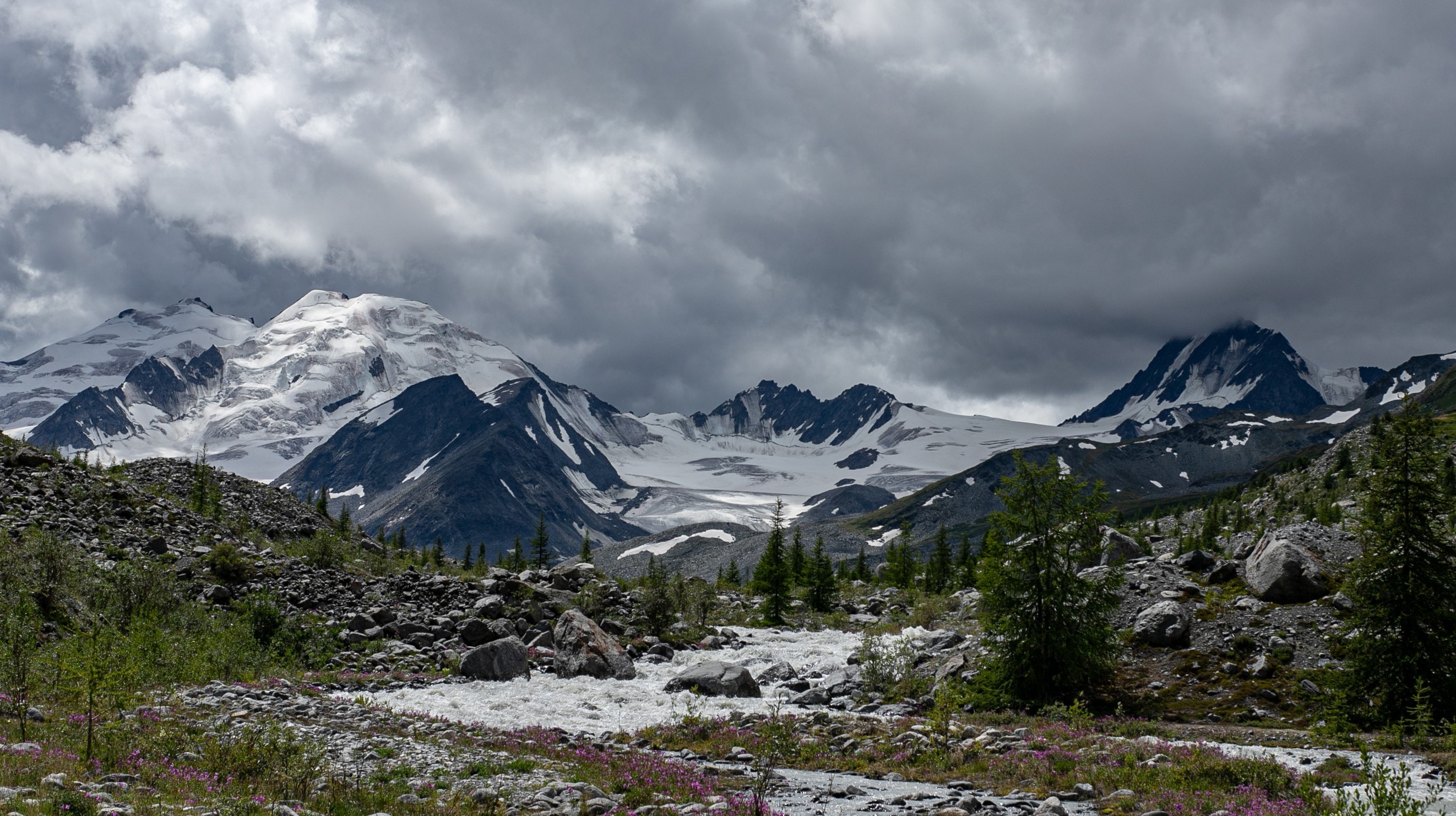 , Владимир Каверин