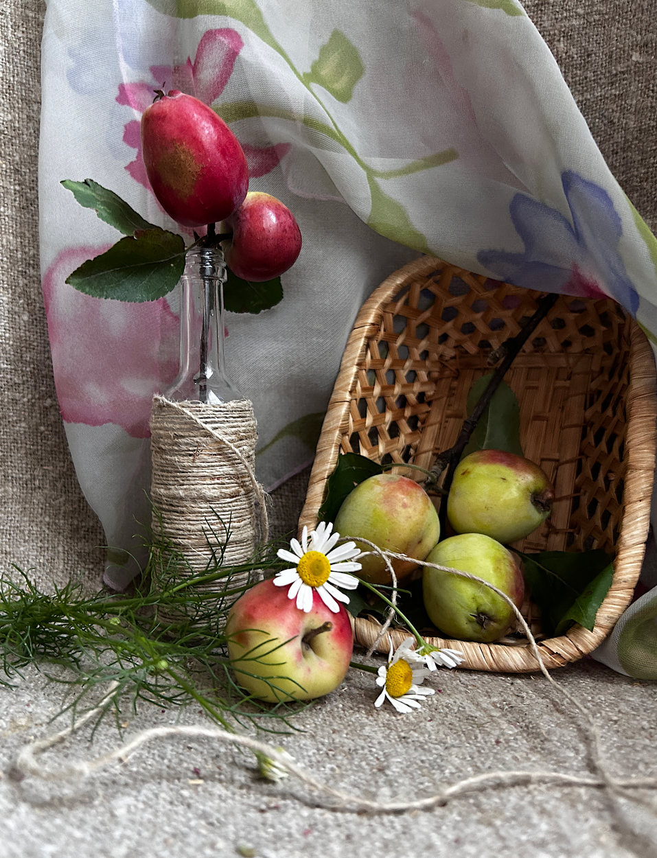 , Новикова Ольга