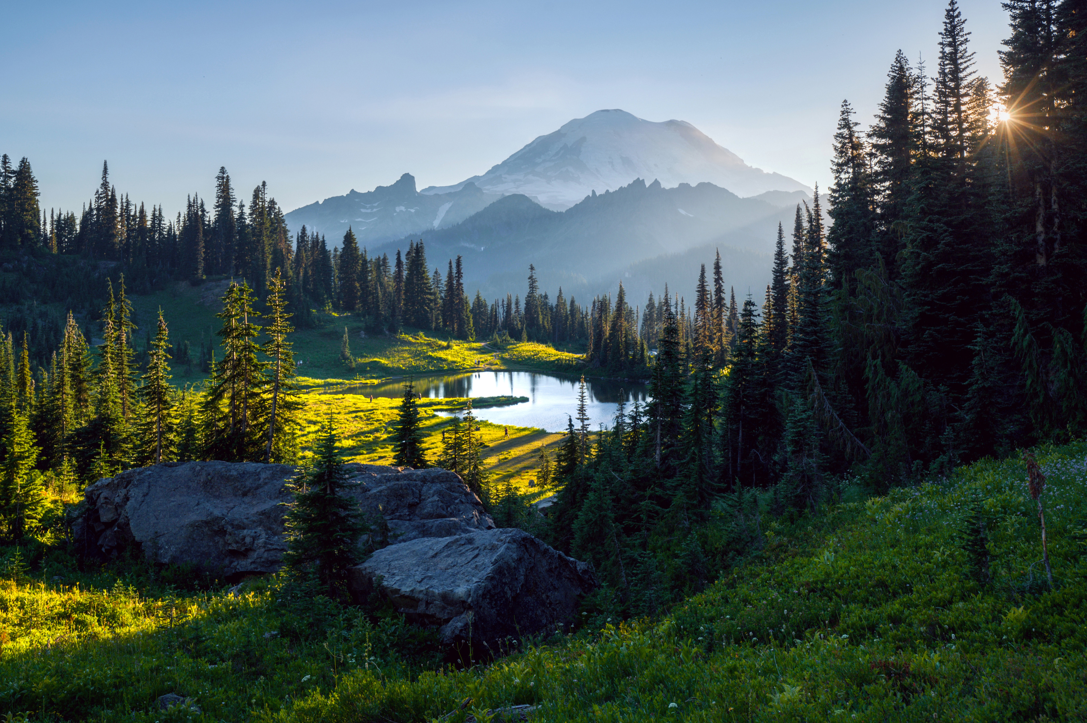 , Алексей Кретов