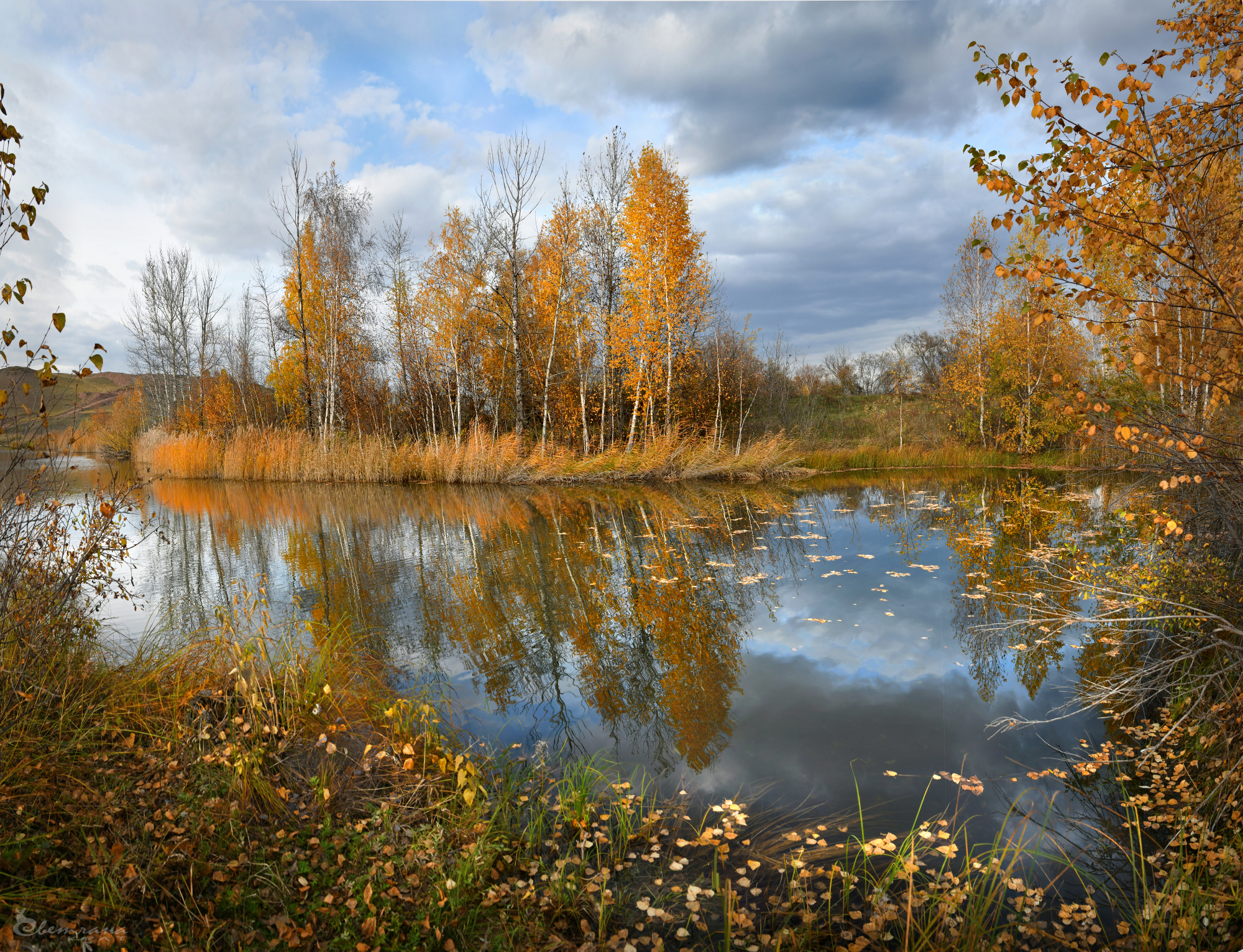 , Крат Светлана