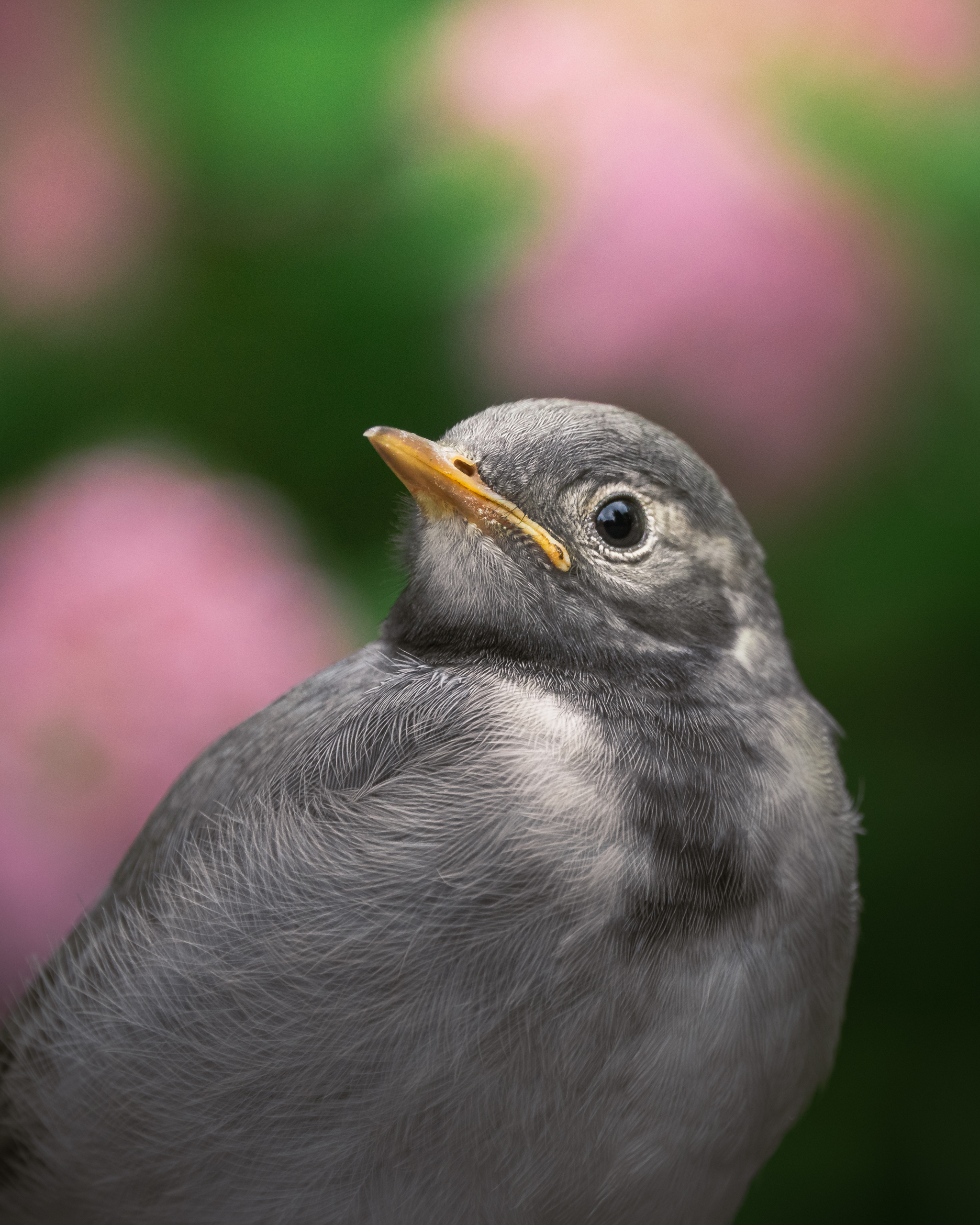 , Андрей Иванов