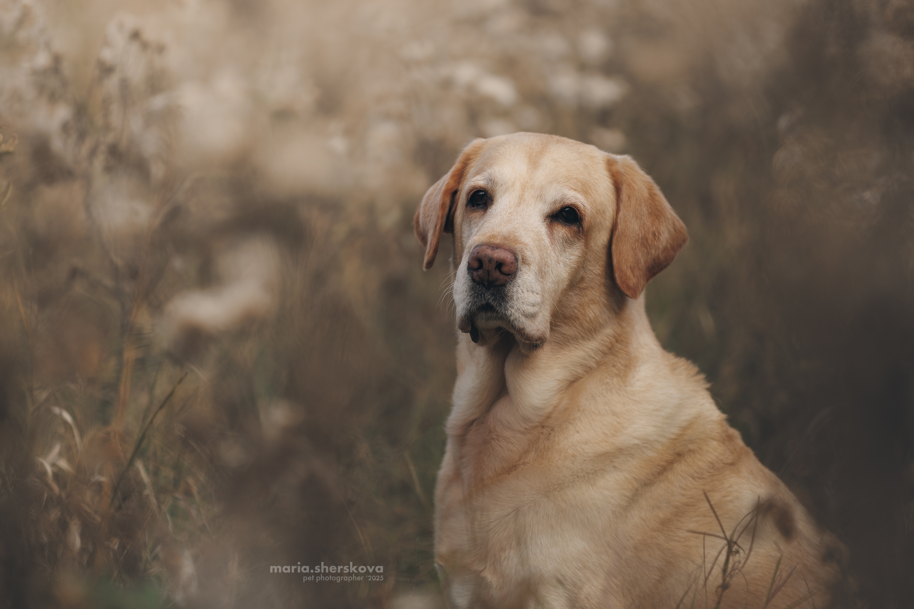 , Шерскова Мария