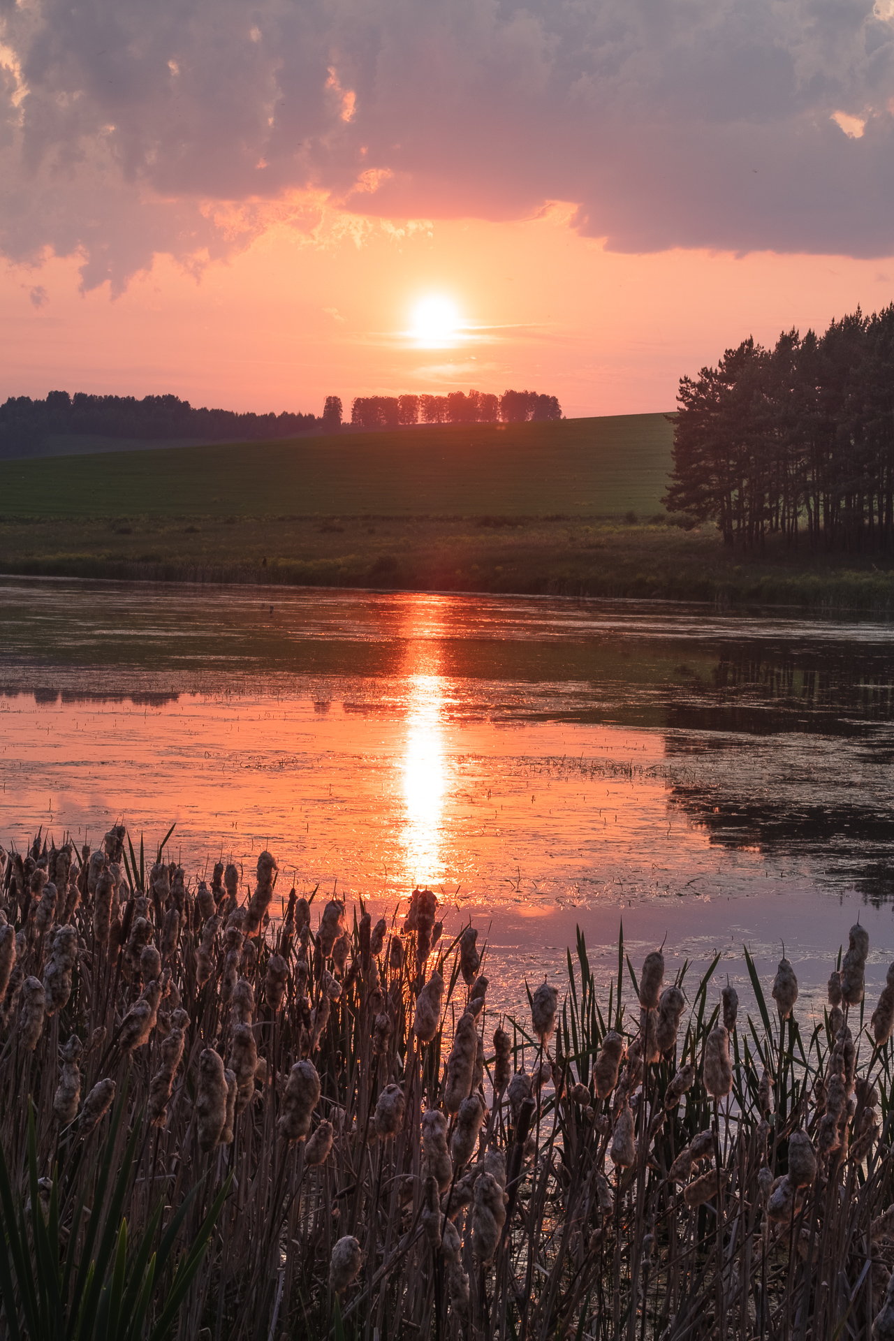 , Коротеев Вадим
