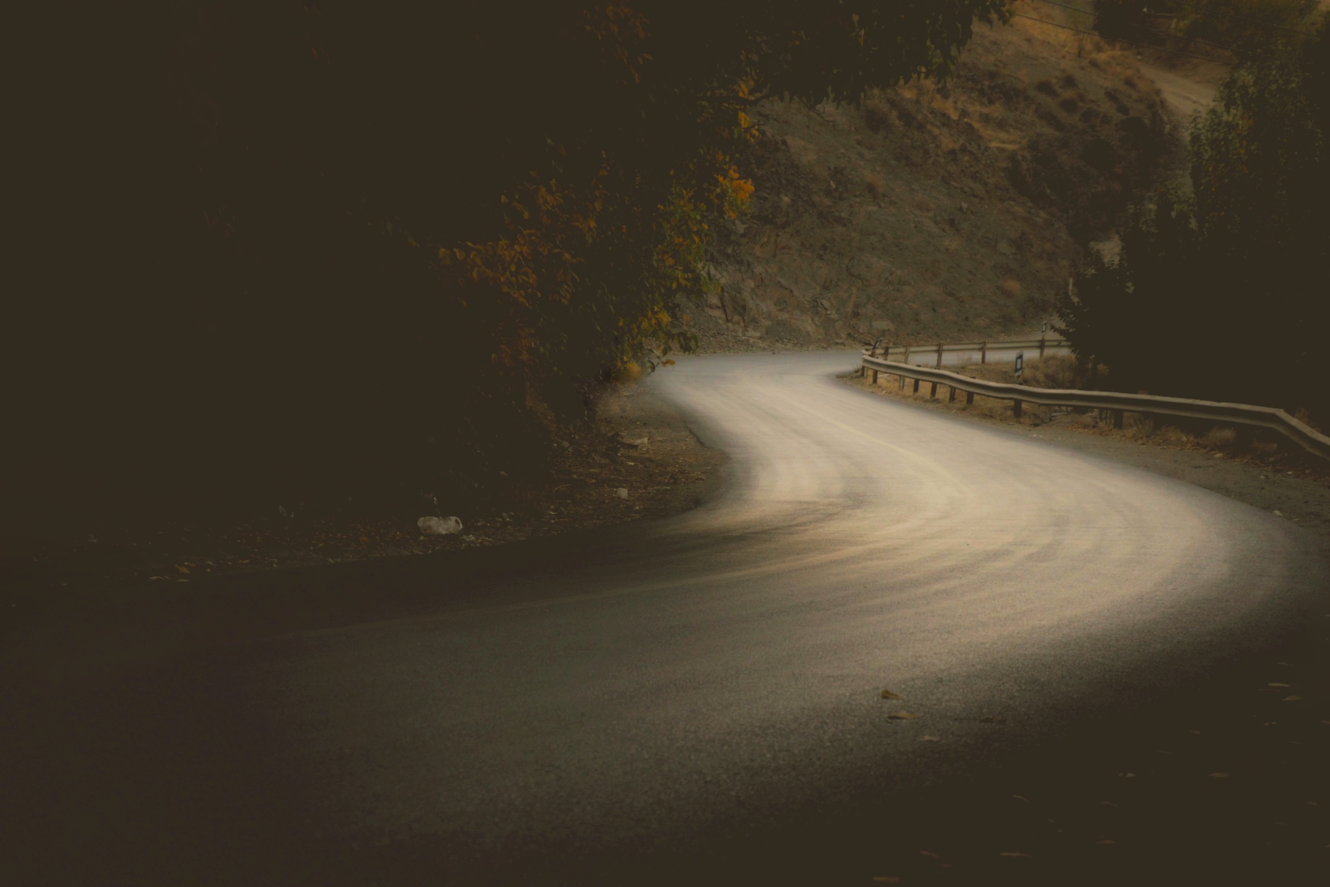 Iran, Seyed Homayoun Hosseini