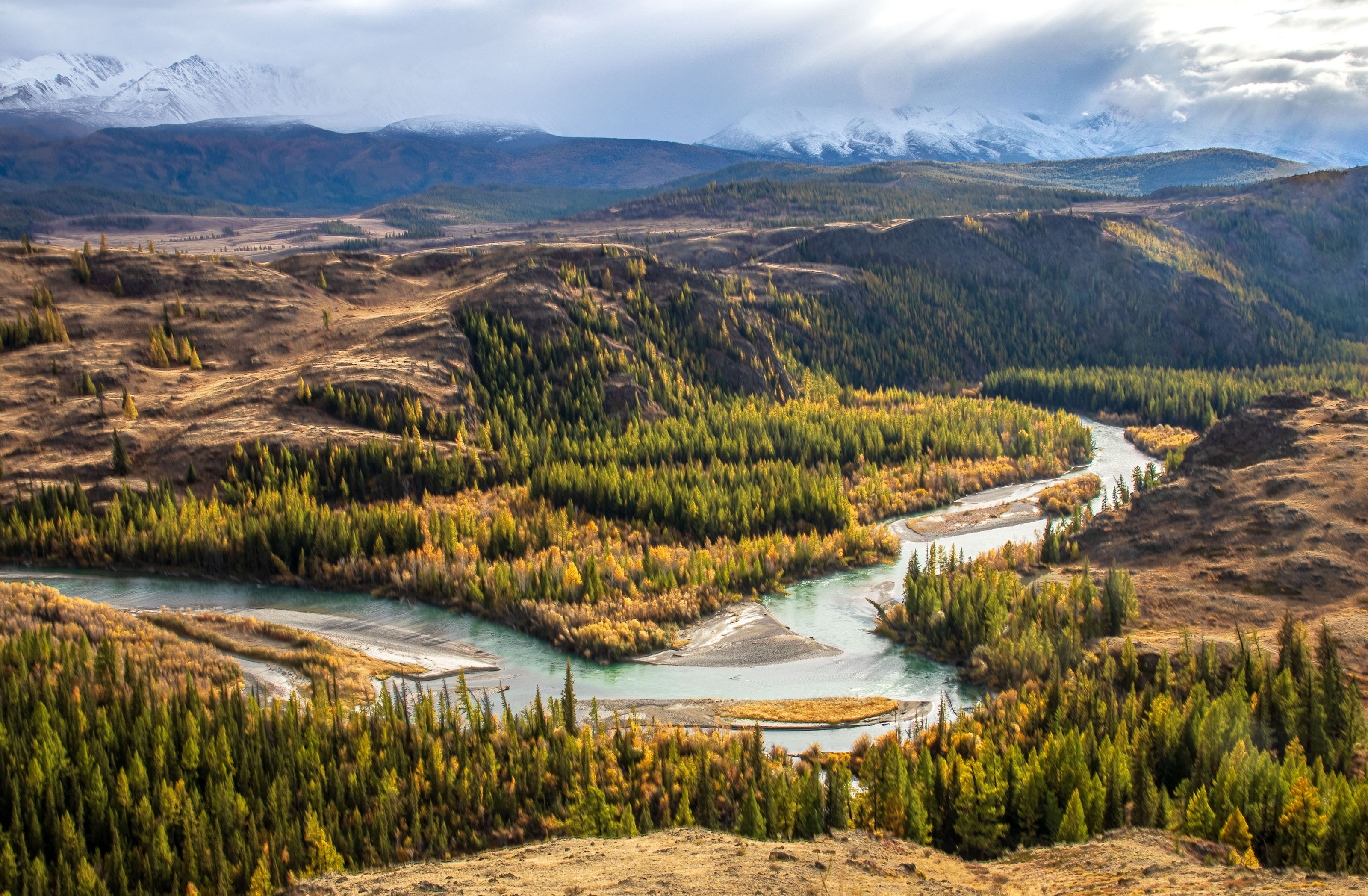 алтай, Добролюбова Тамара