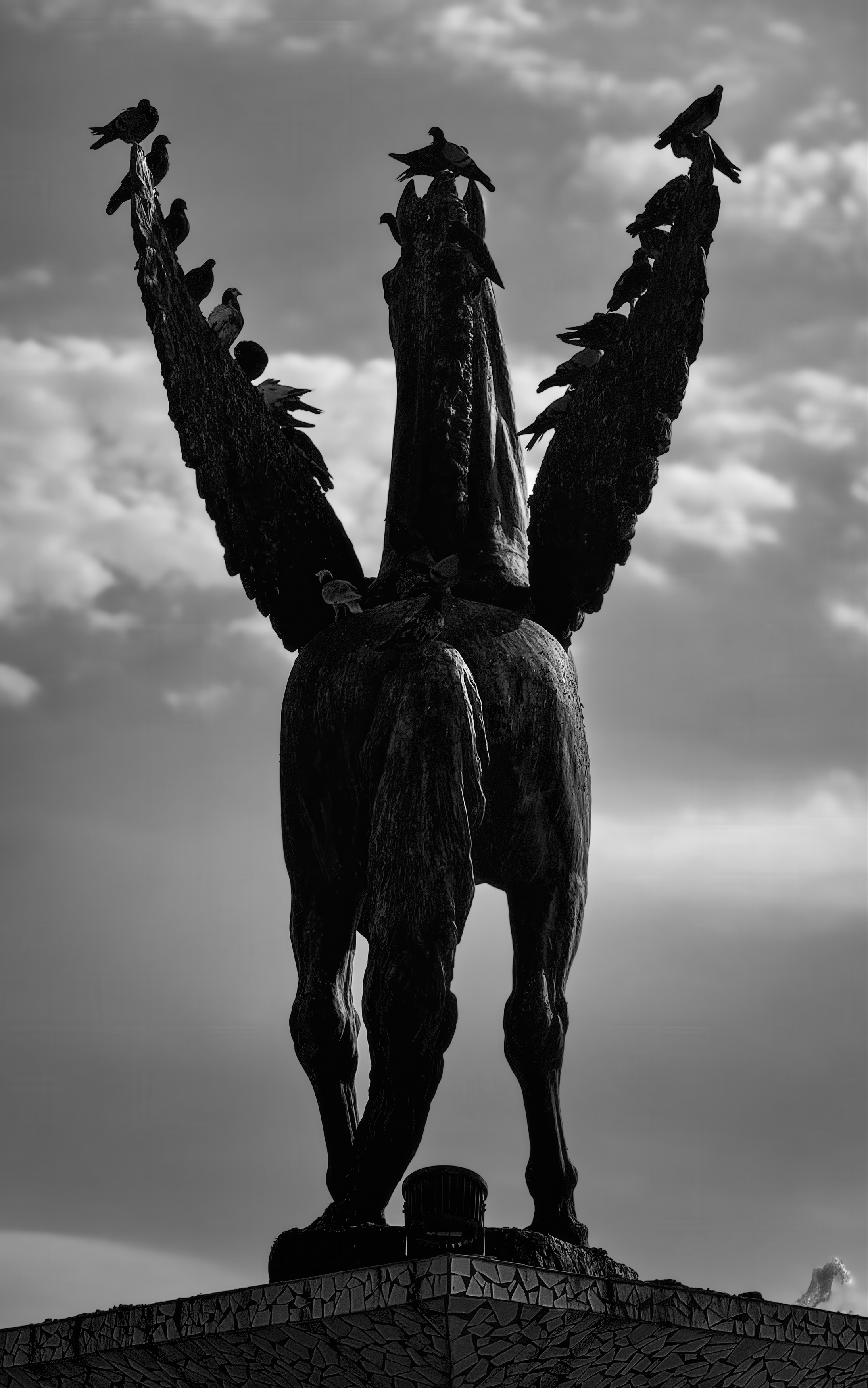 #cloud #monument #black&white #representation #sky #bird #pigeon #monochrome #sculpture, Shpek Andrey