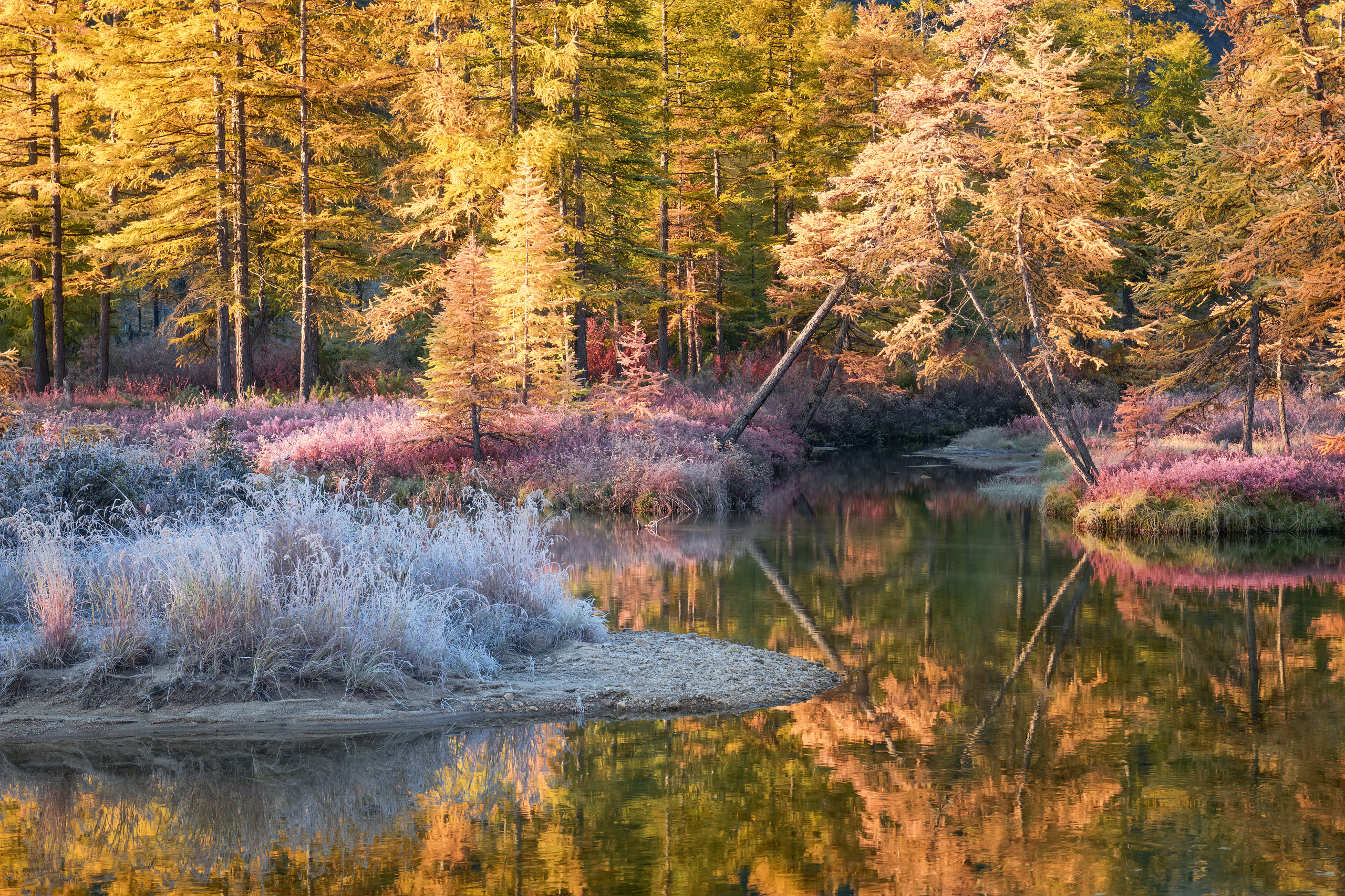 , Евдокимов Максим