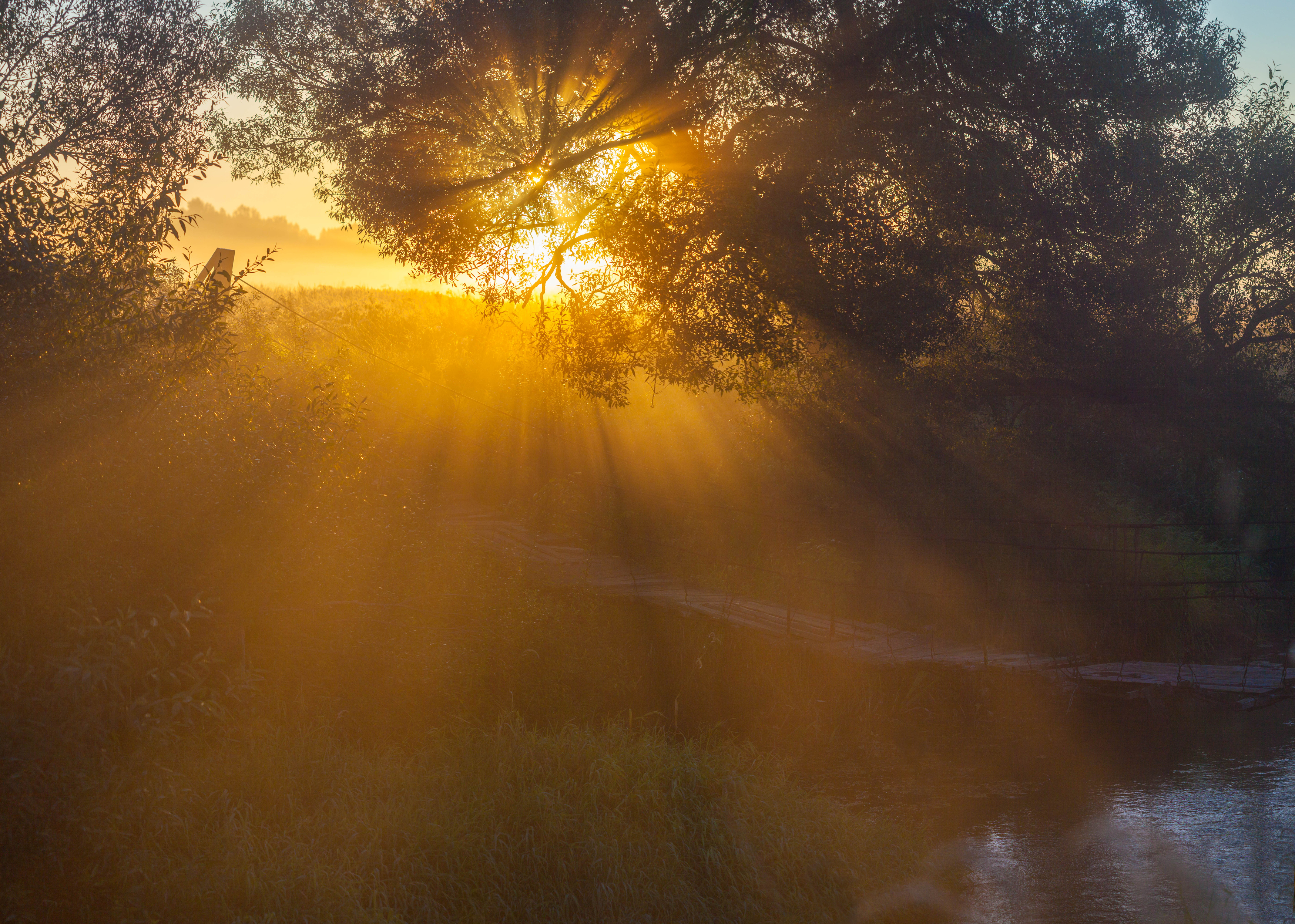 рассвет, солнце , туман, Свистков Александр