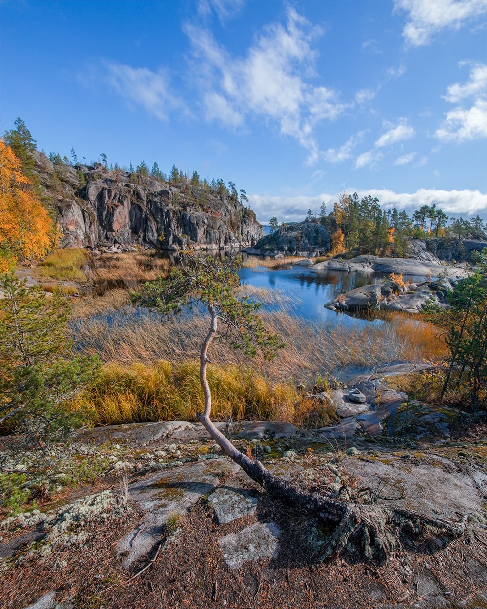 , Петр Косых