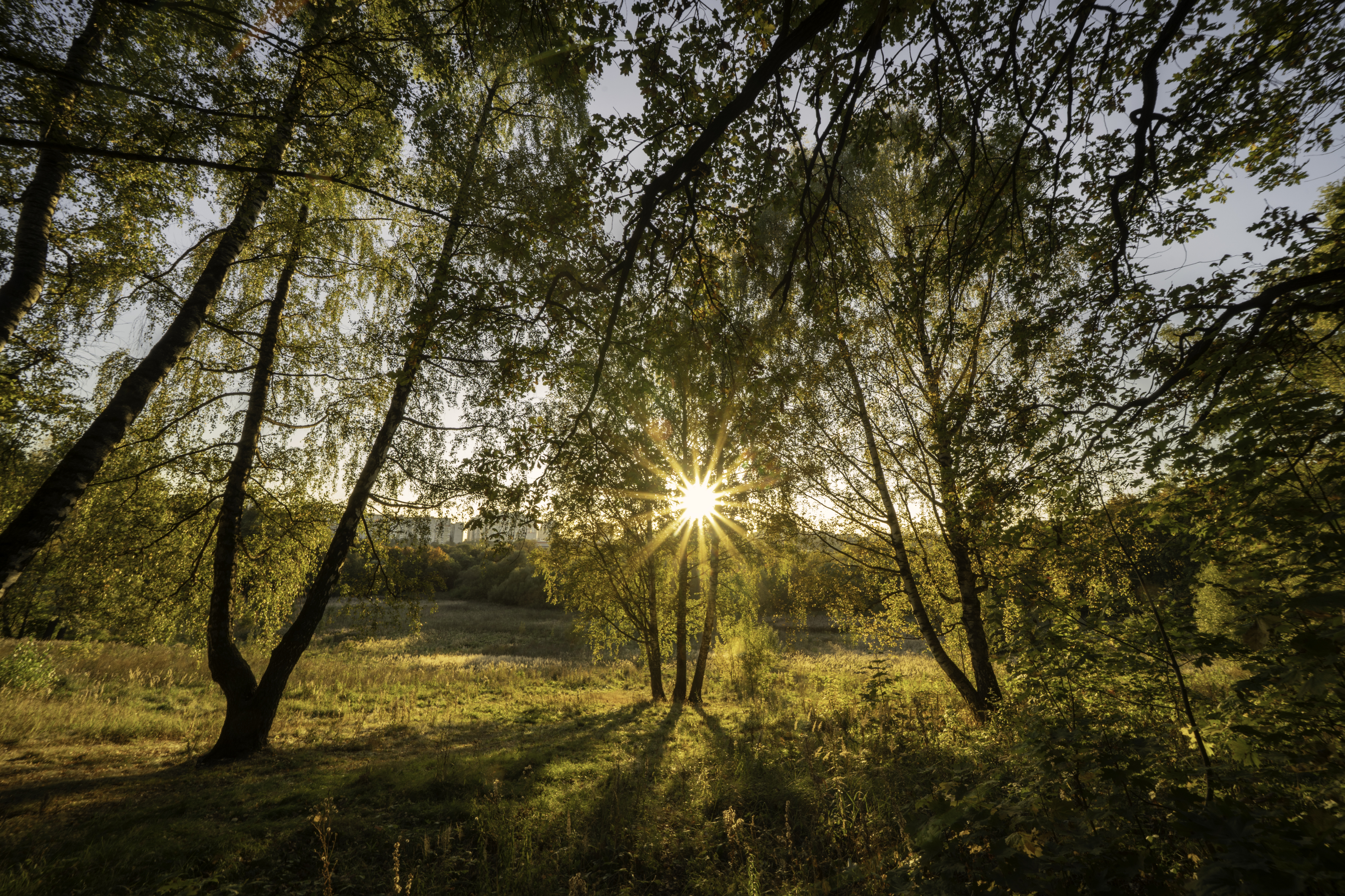 Москва, усадьба Строгановых в Братцево, закат, Гаврилов Юрий
