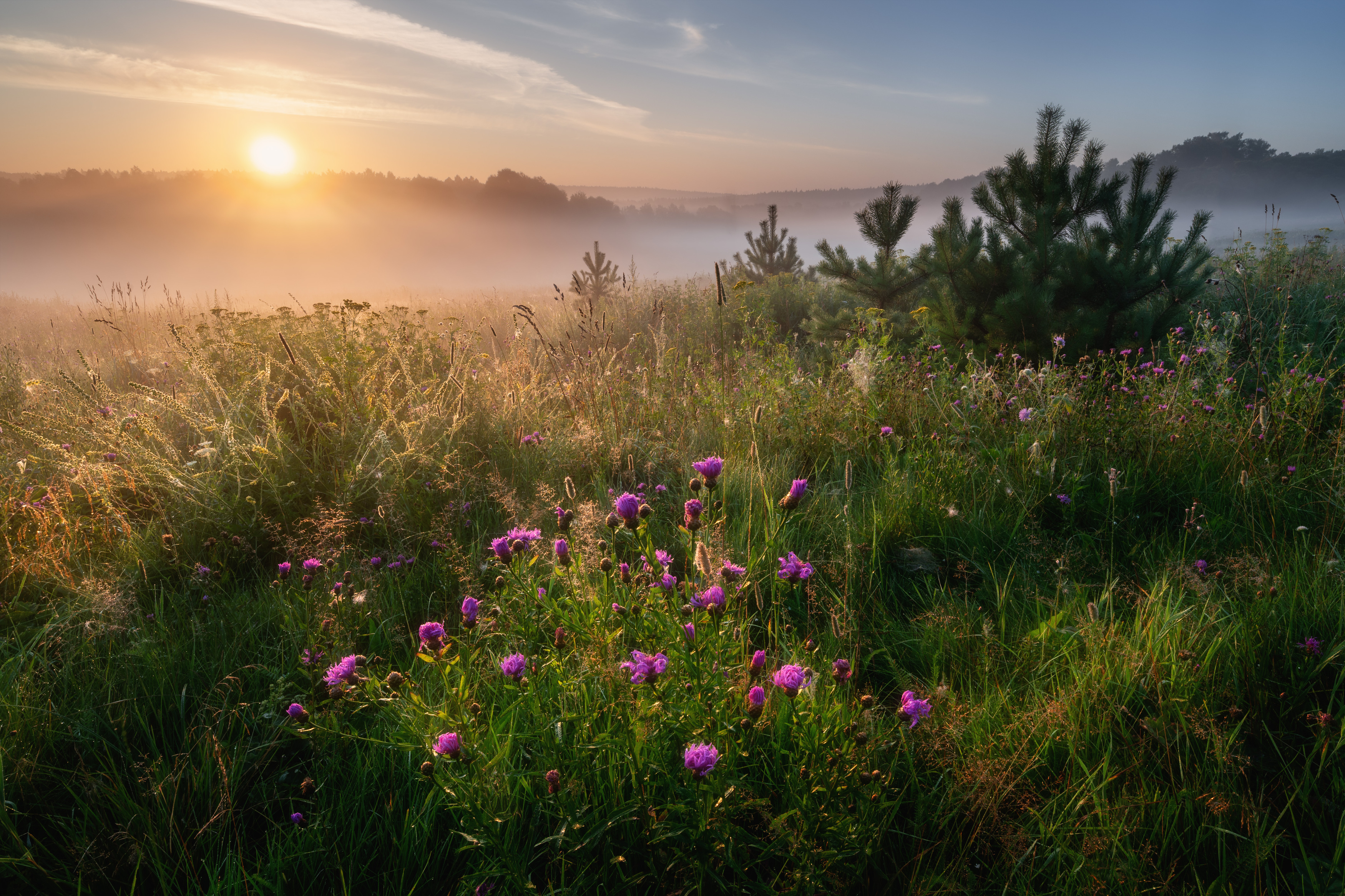 , Алексей Турчин