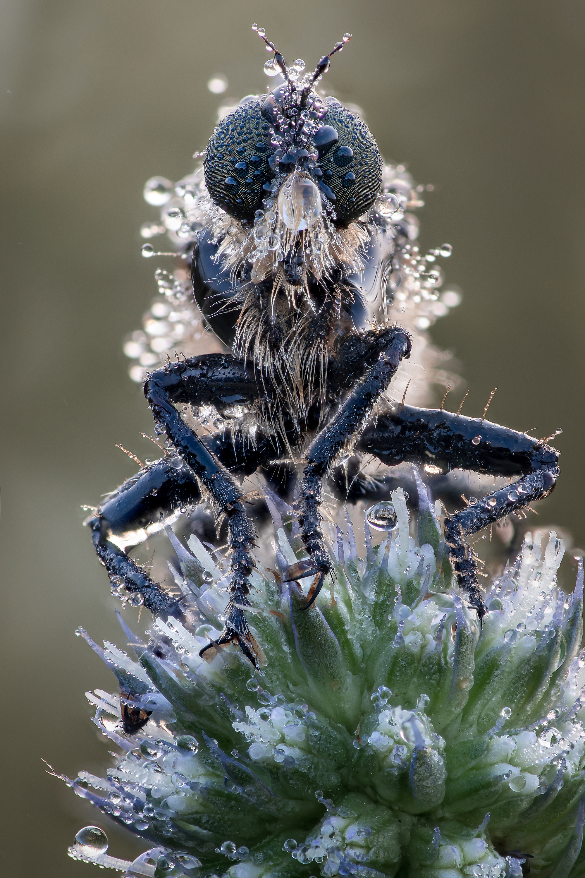 , Кузнецов Дмитрий