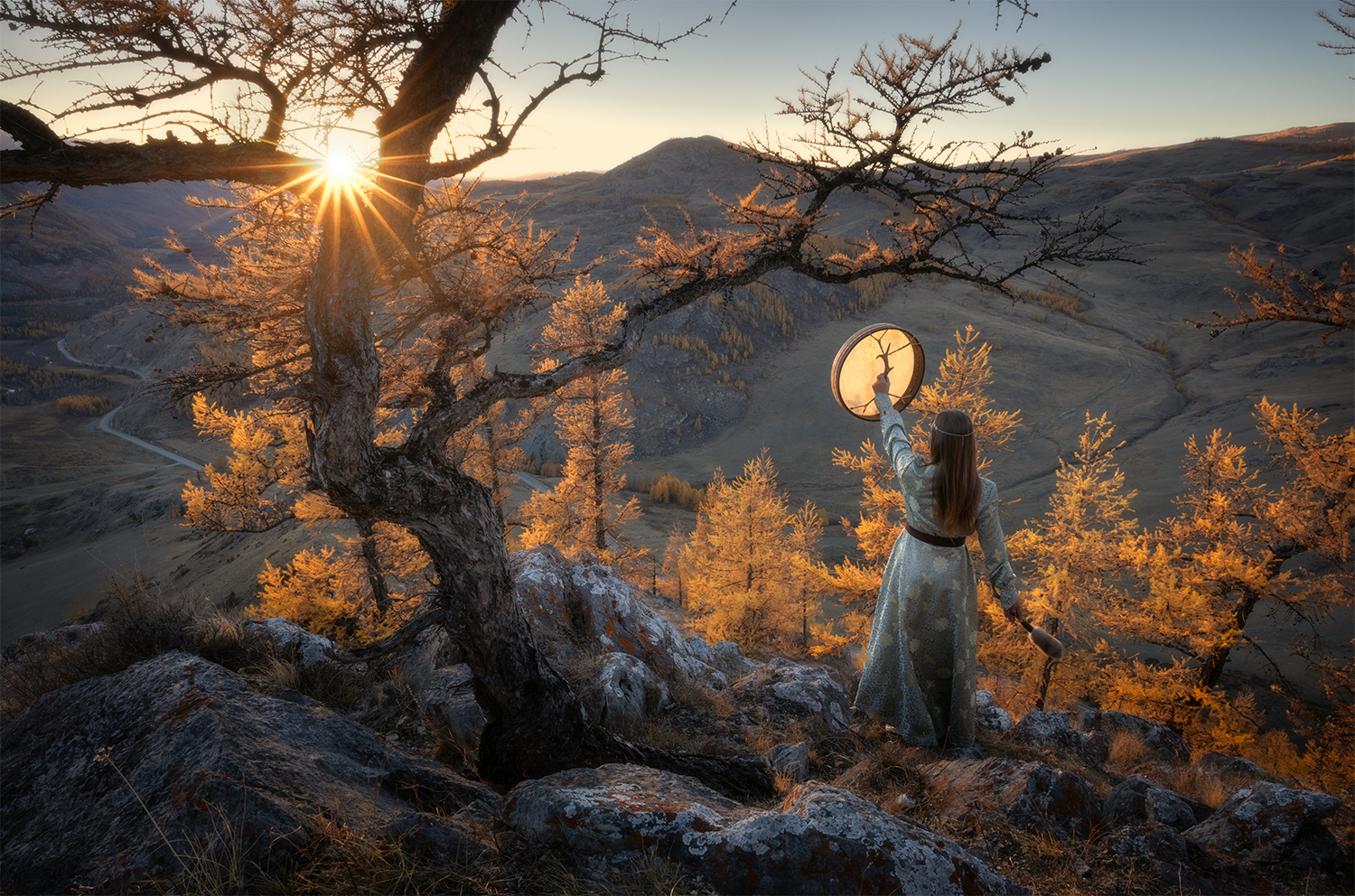 осень, алтай, лиственницы, вечер, закат, солнце, горы, Сергей Буторин