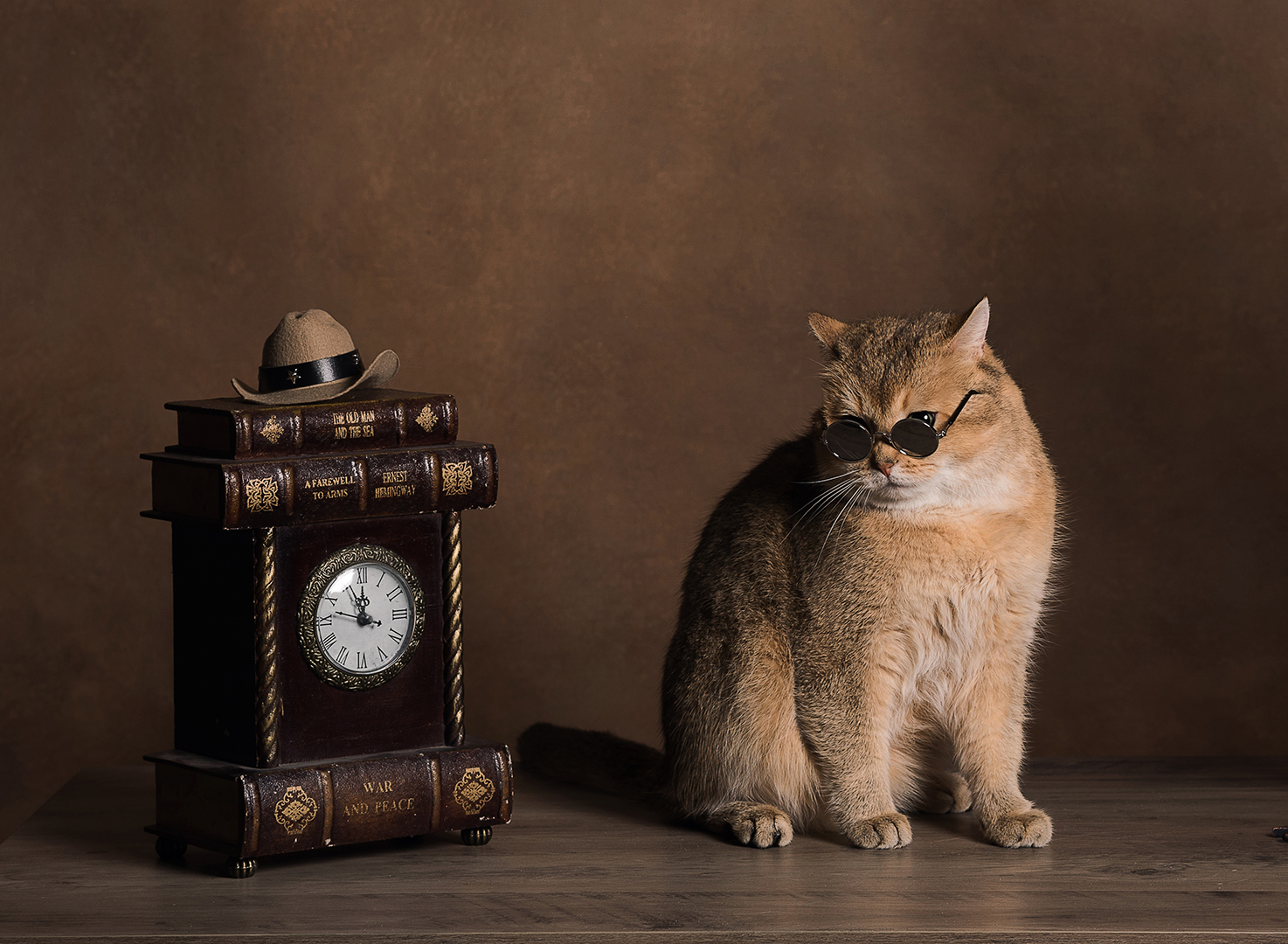 Кот, Юлия Шестопалова