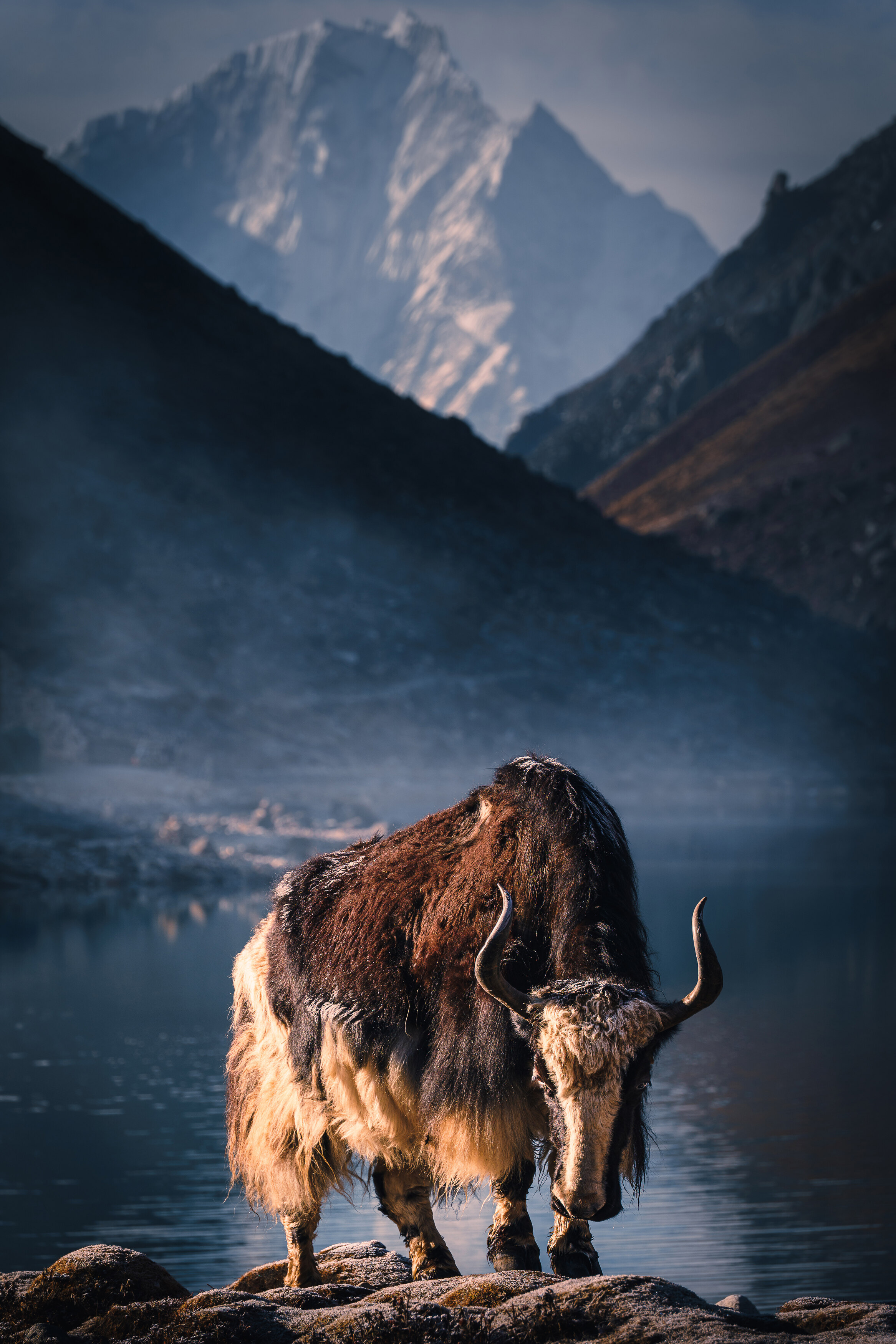 , Купчиков Илья