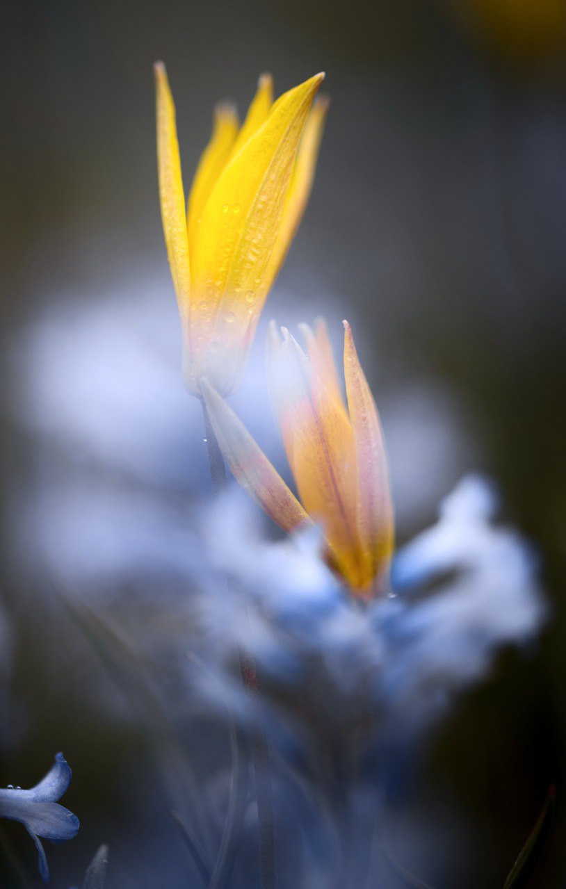 , Дегтярёва Анна