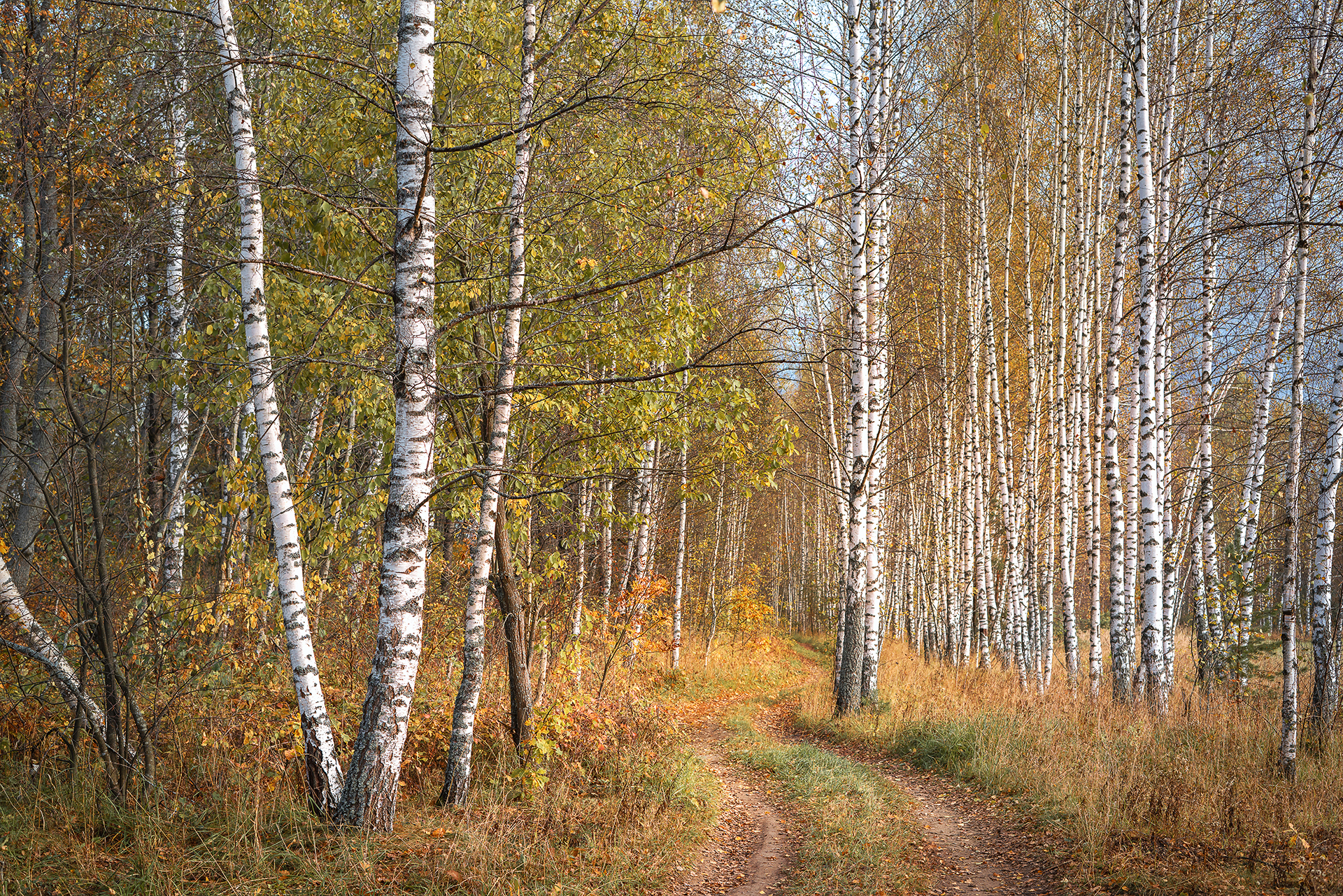 , Завьялова Людмила