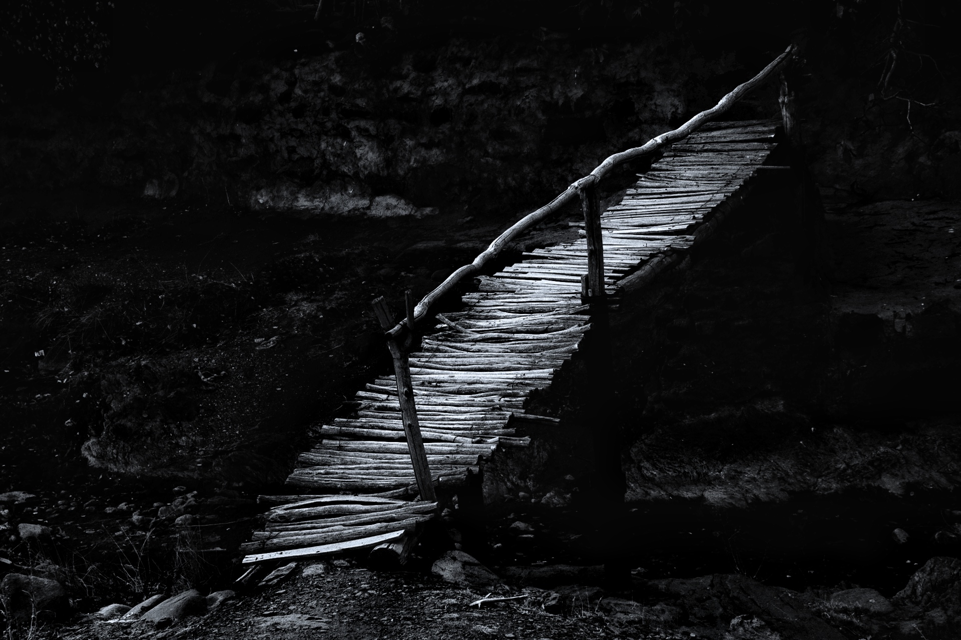 , Seyed Homayoun Hosseini