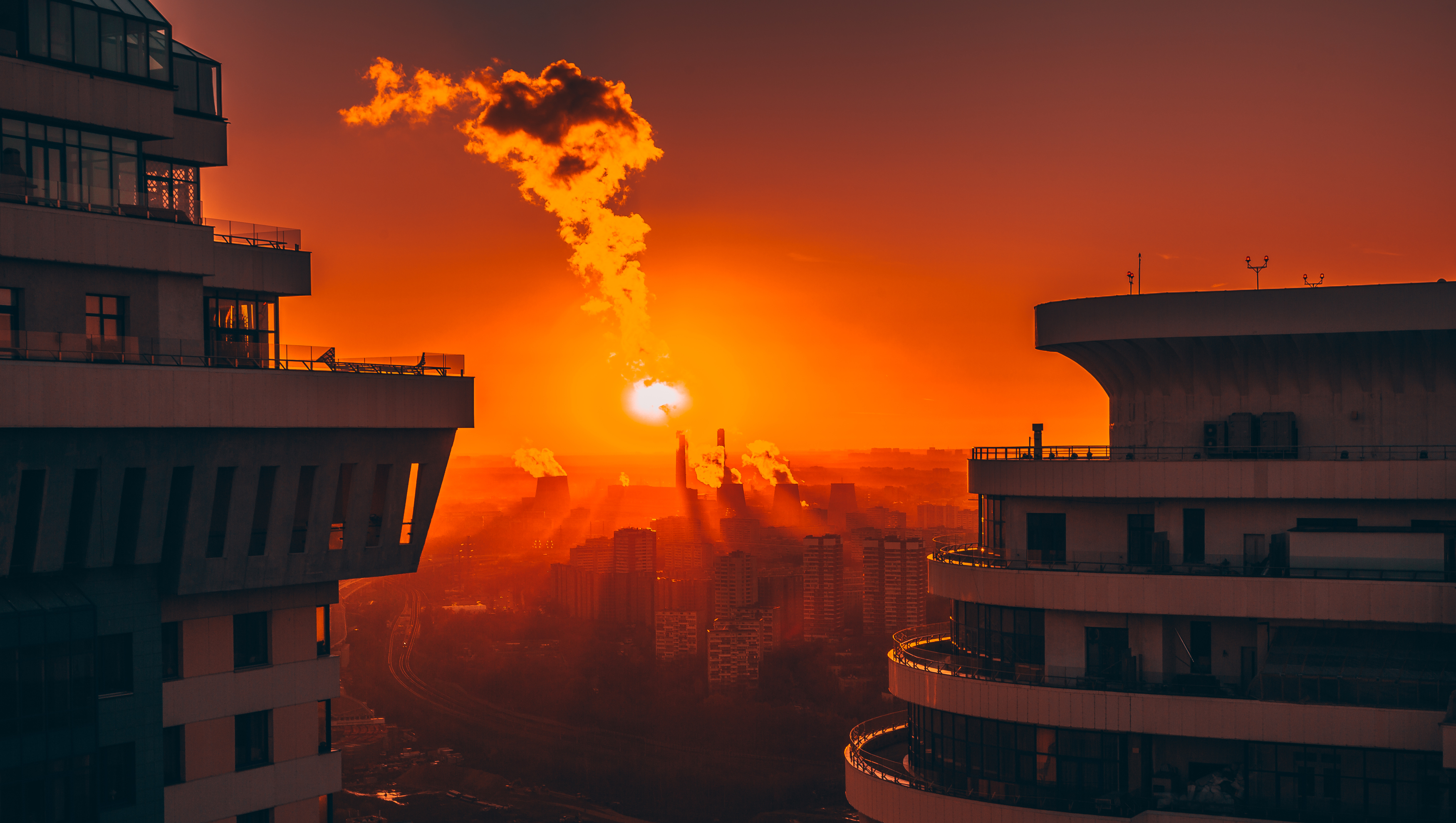 , Трепольский Дмитрий