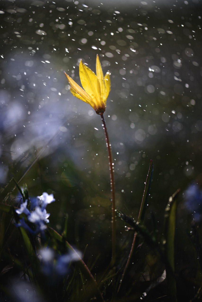 , Дегтярёва Анна