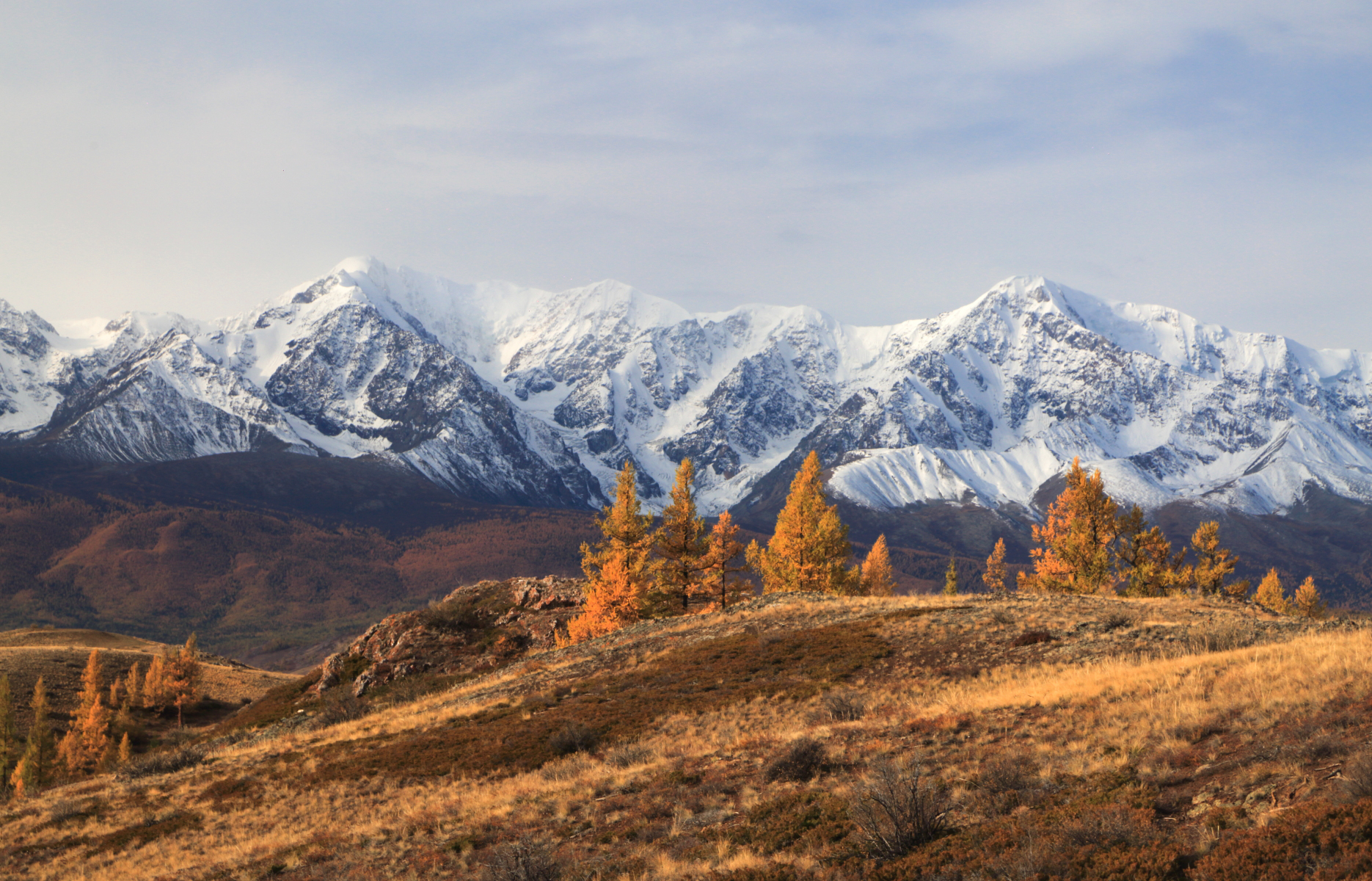 , Евгений Зинов