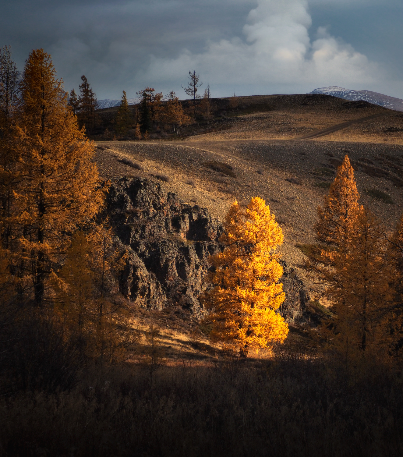 , Галина Хвостенко