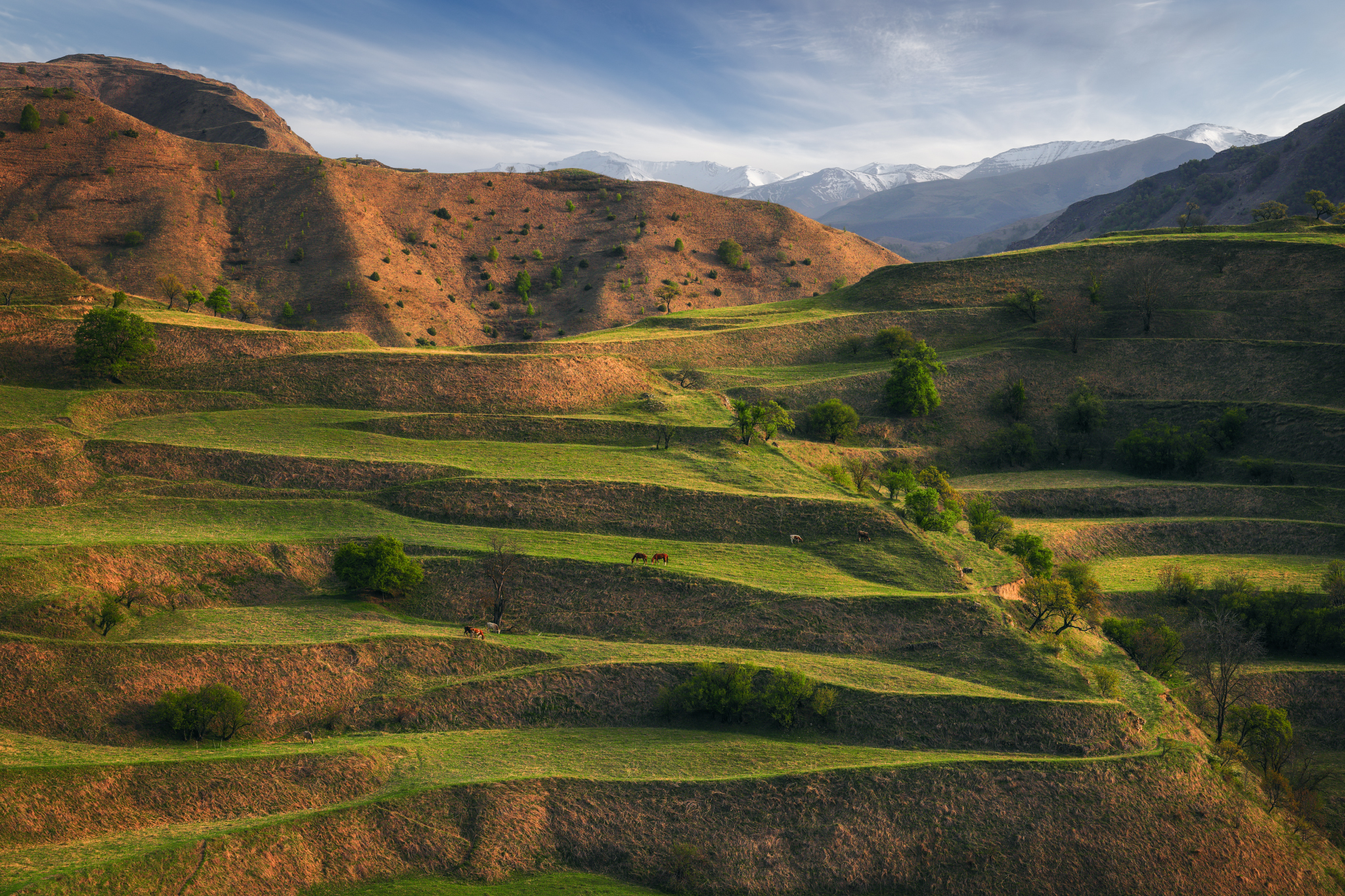 mountains, nature, landscape, rural, grass, outdoors, green, meadow, travel, spring, caucasus, terraces, пейзаж, горы, дагестан, террасы, весна, природа, Андрей